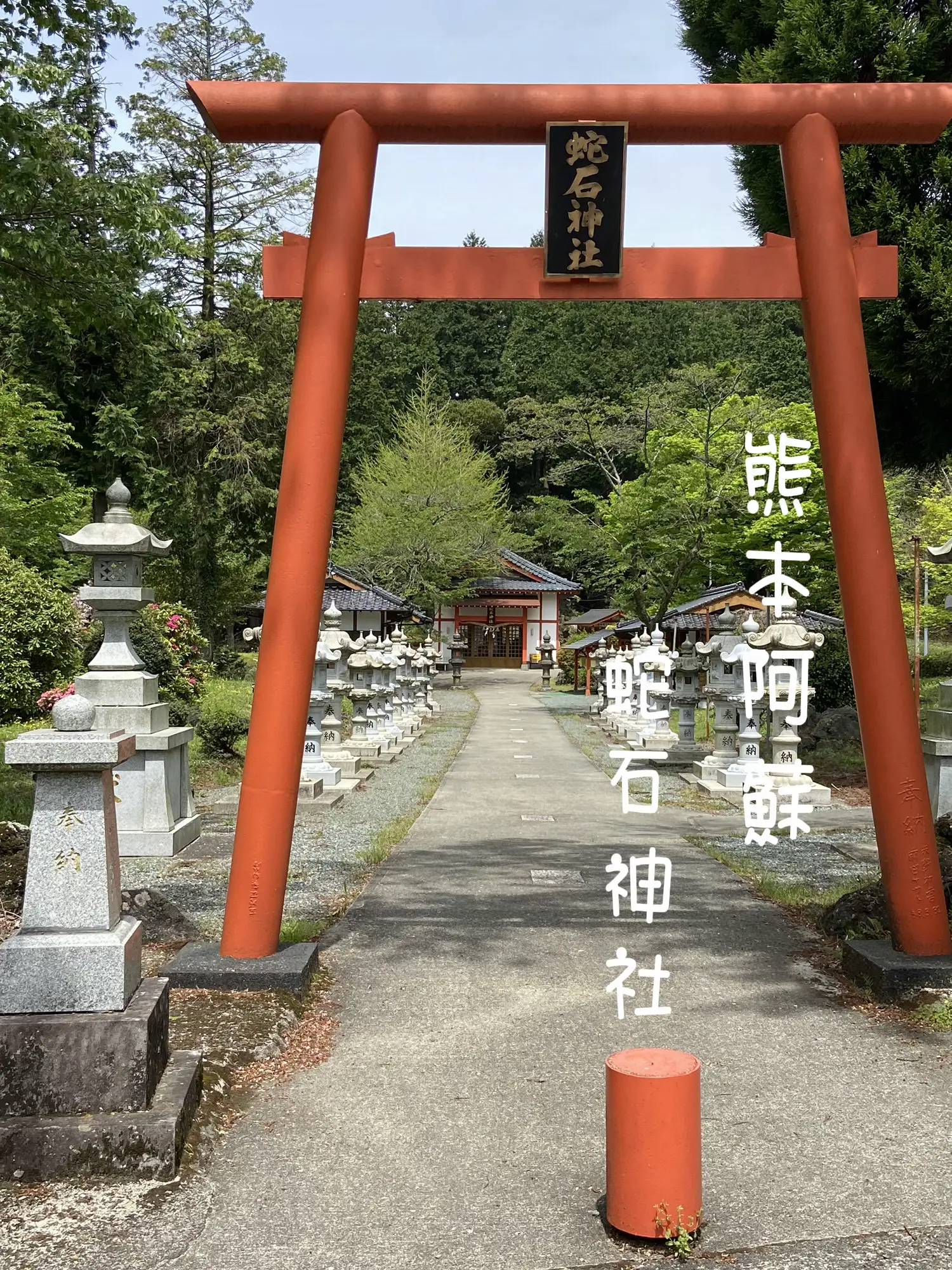 金運アップ↑✨生きた白蛇様に会える🐍開運神社⛩️ | Domon53が投稿したフォトブック | Lemon8