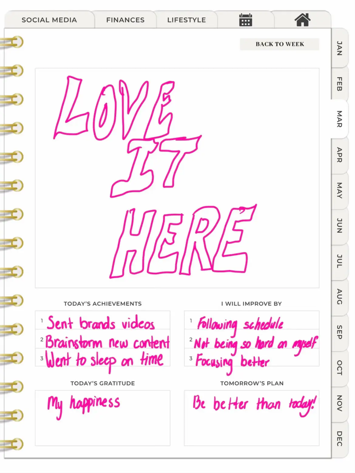 A planner with a pink