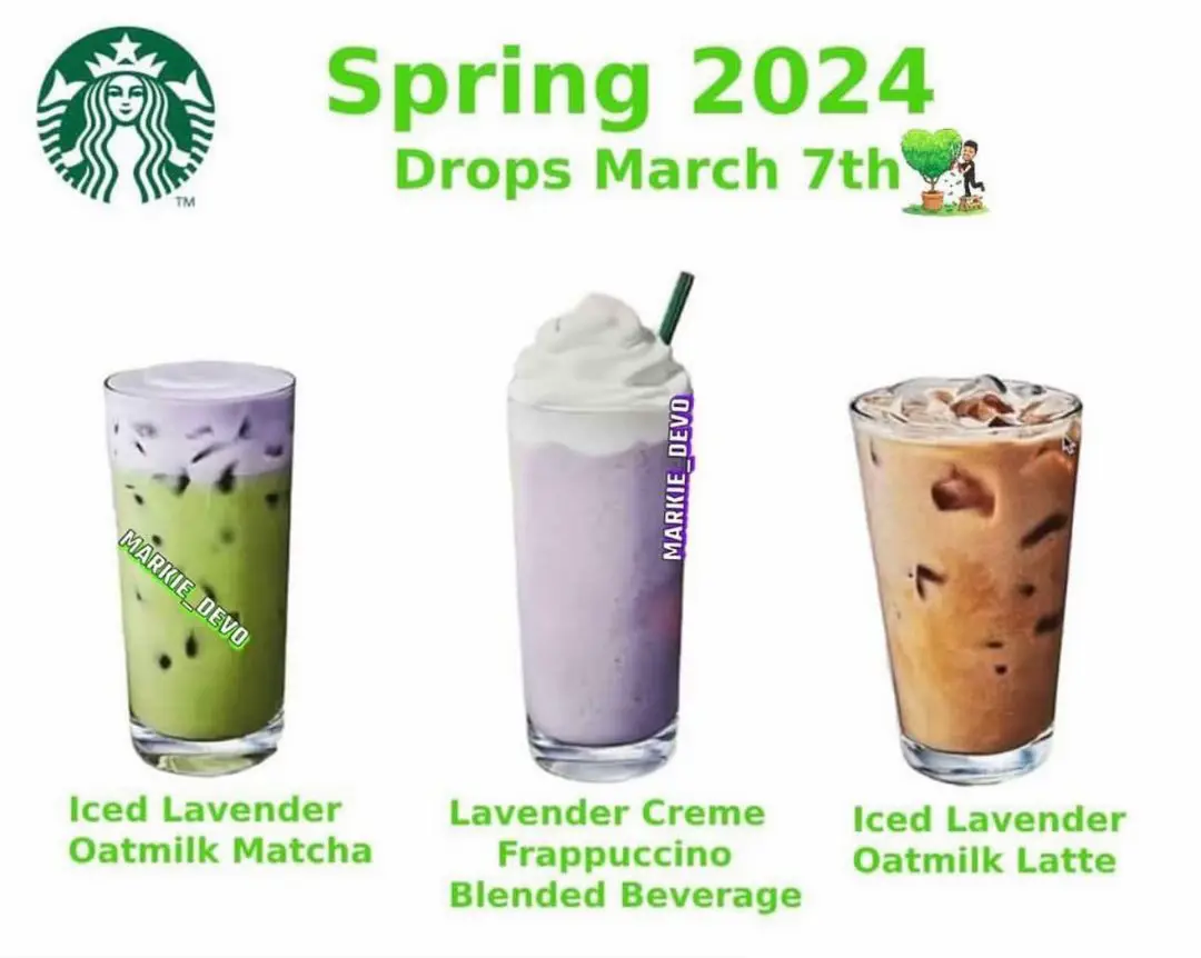 Starbucks Drink Oatmilk - Lemon8 Search