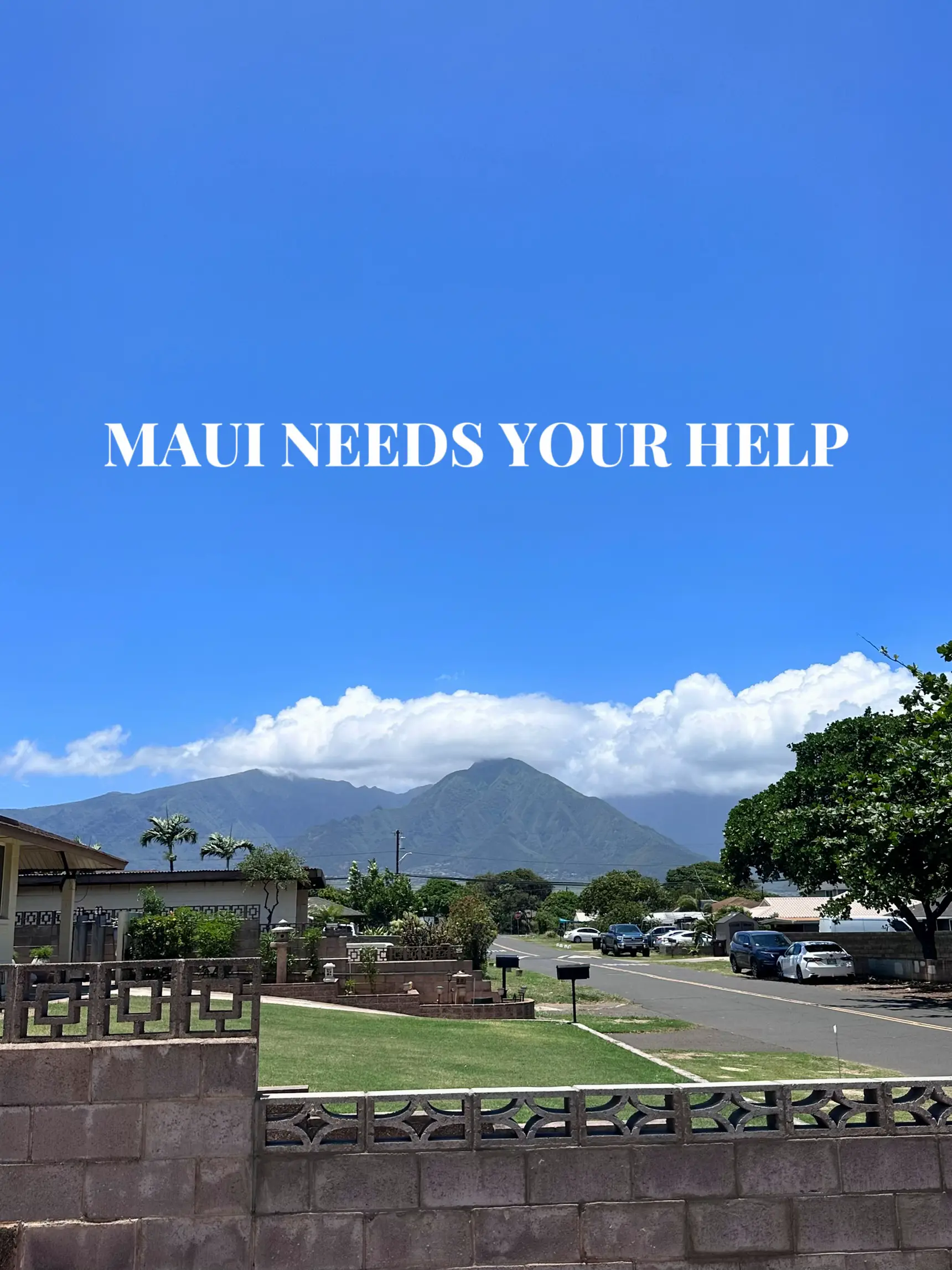 THE ISLAND OF MAUI NEEDS YOUR HELP | Gallery posted by Madi Jade | Lemon8