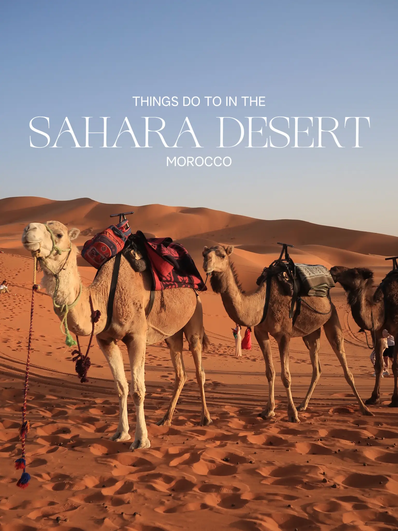 Moroccan desert excursion - Lemon8 Search