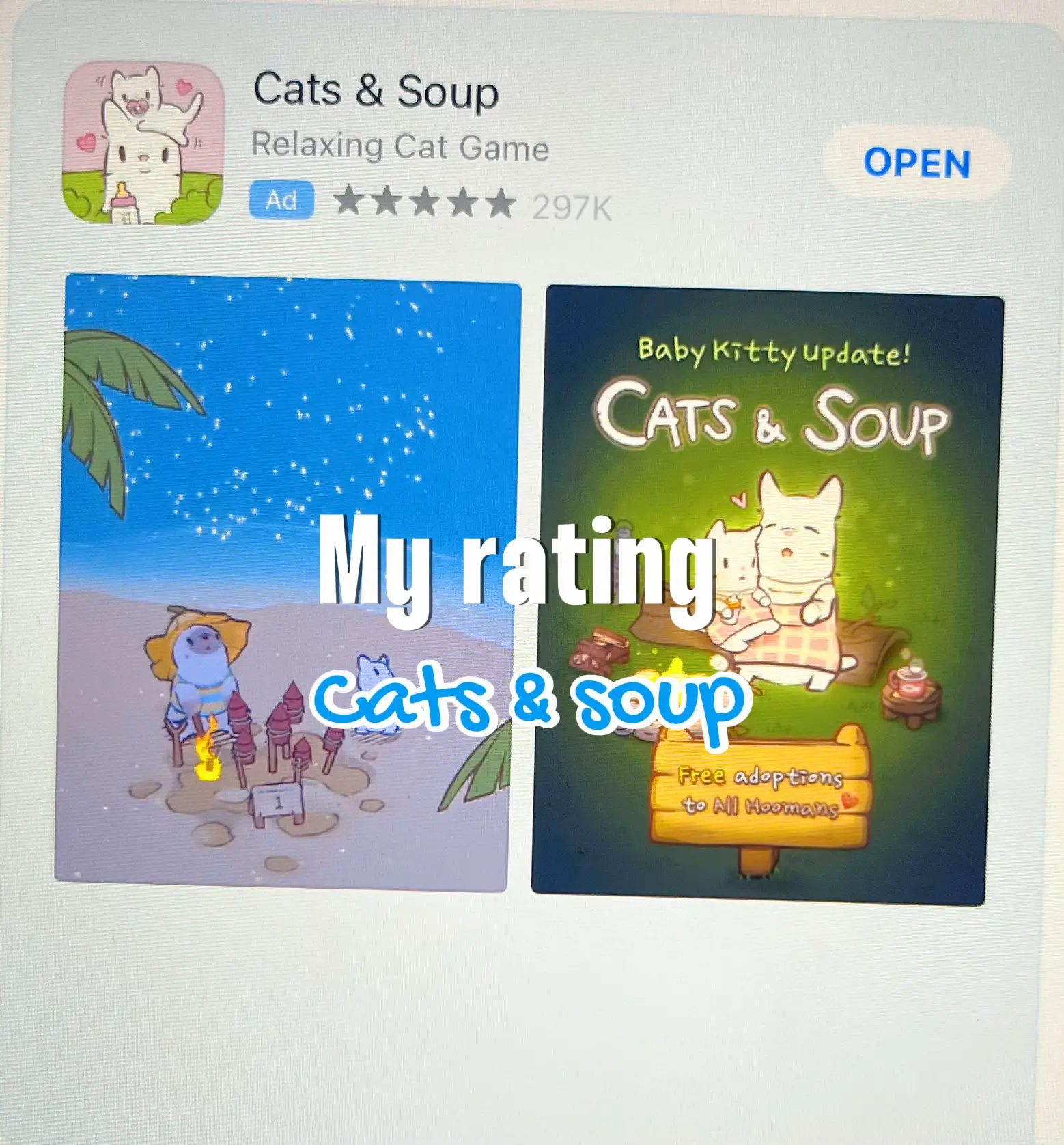 My rating of cats and soup!🫶 | Gallery posted by Mia 💿🤍⭐️ | Lemon8