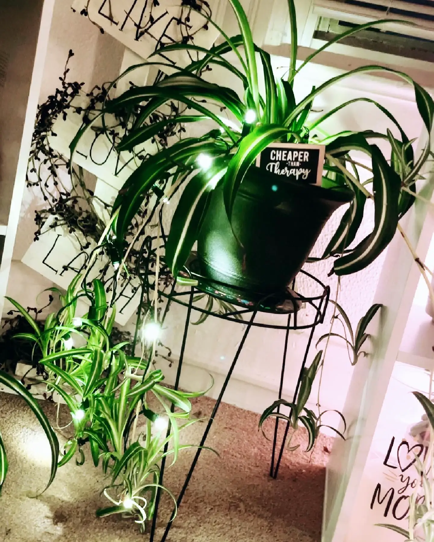 Faux plants that look real!, Gallery posted by Haley Jones