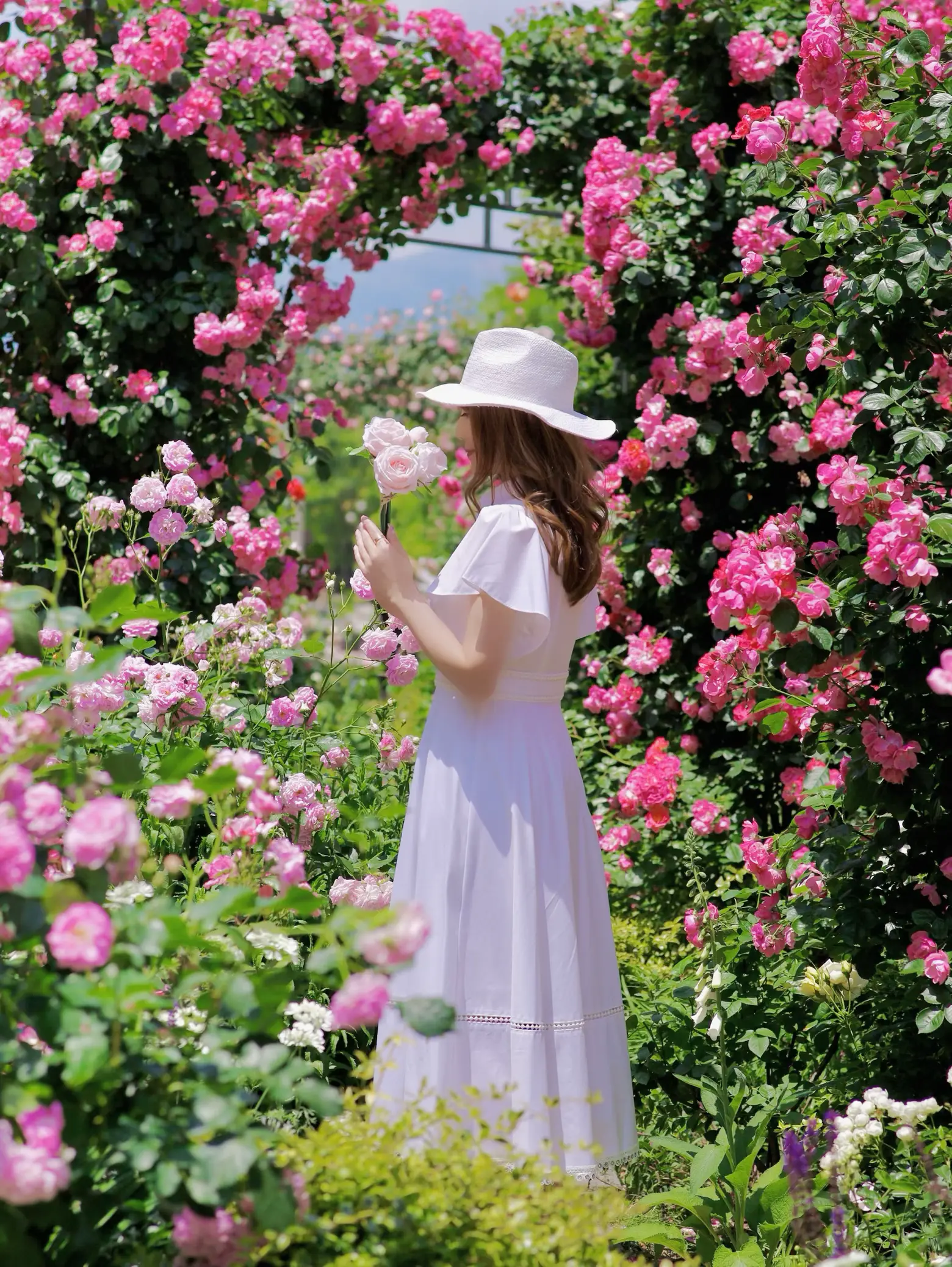 神戸 ❤︎ 秘密の花園🩷もりもりの薔薇に囲まれた小径🌹 | Miho❤︎おすすめスポットが投稿したフォトブック | Lemon8