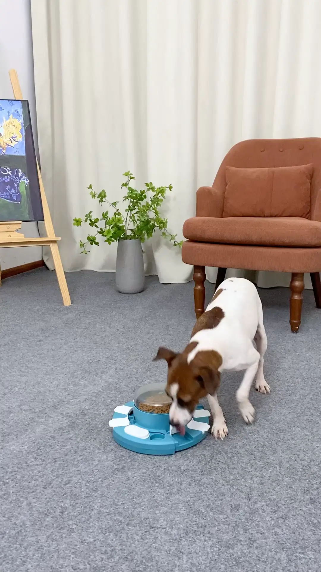 KADTC dog puzzle toys!best toys! K828208, Video published by Amanda
