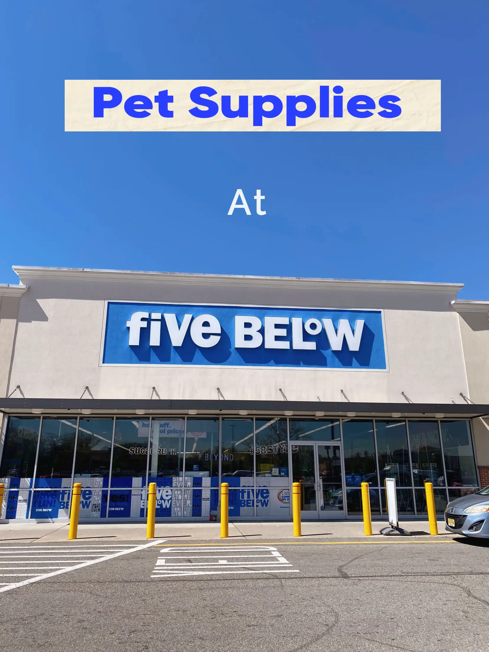 Cheap Pet Supplies at Five Below Lemon8 Search