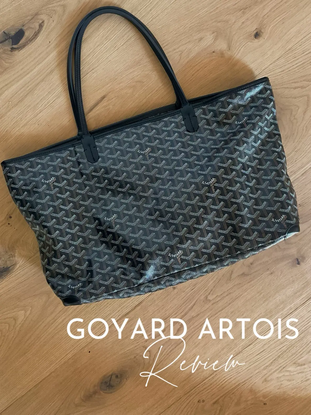 Goyard Artois MM Review and Comparison with LV Neverfull MM 