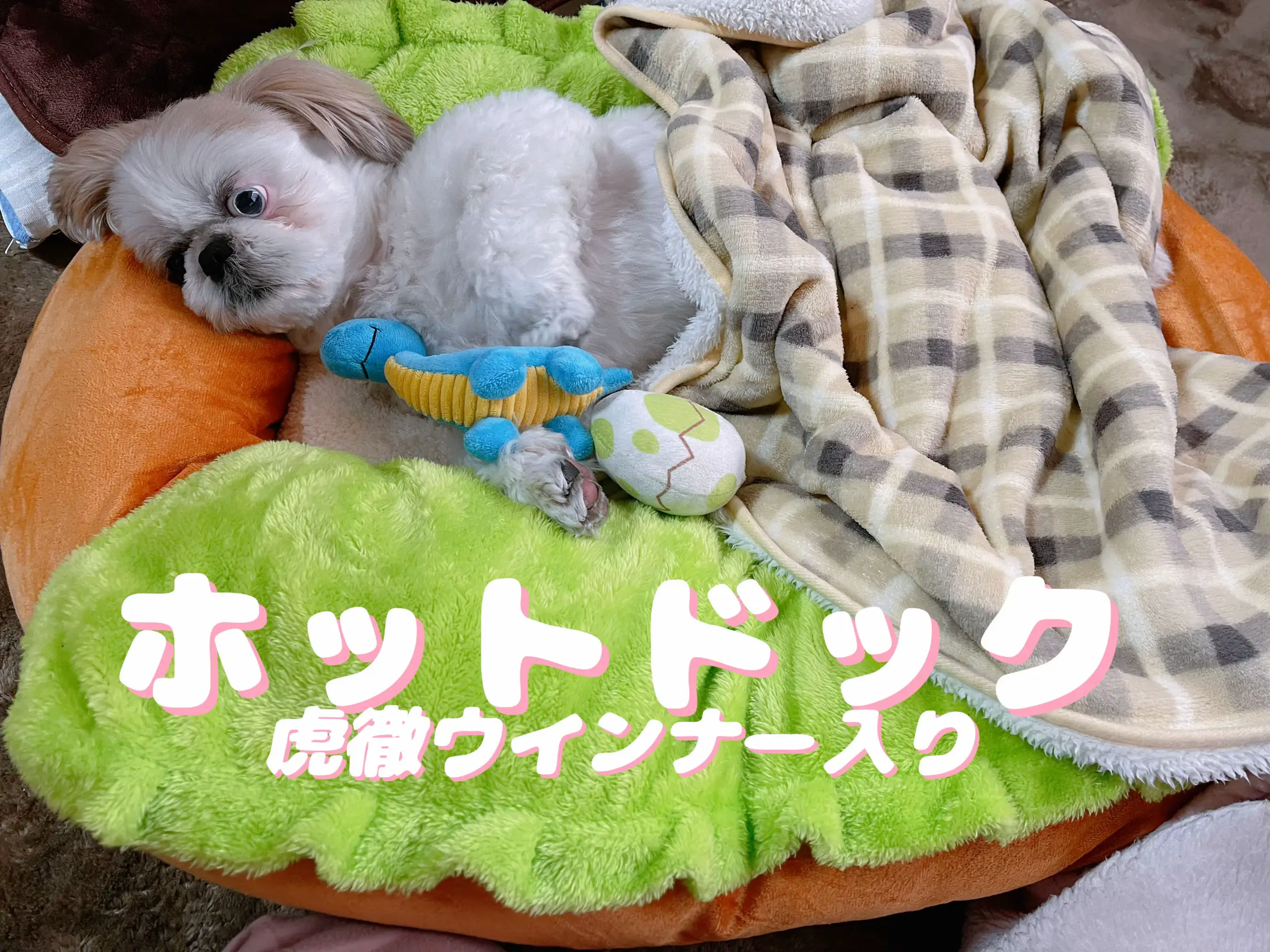 ホットドッククッション | 虎徹&みしぇるが投稿したフォトブック | Lemon8