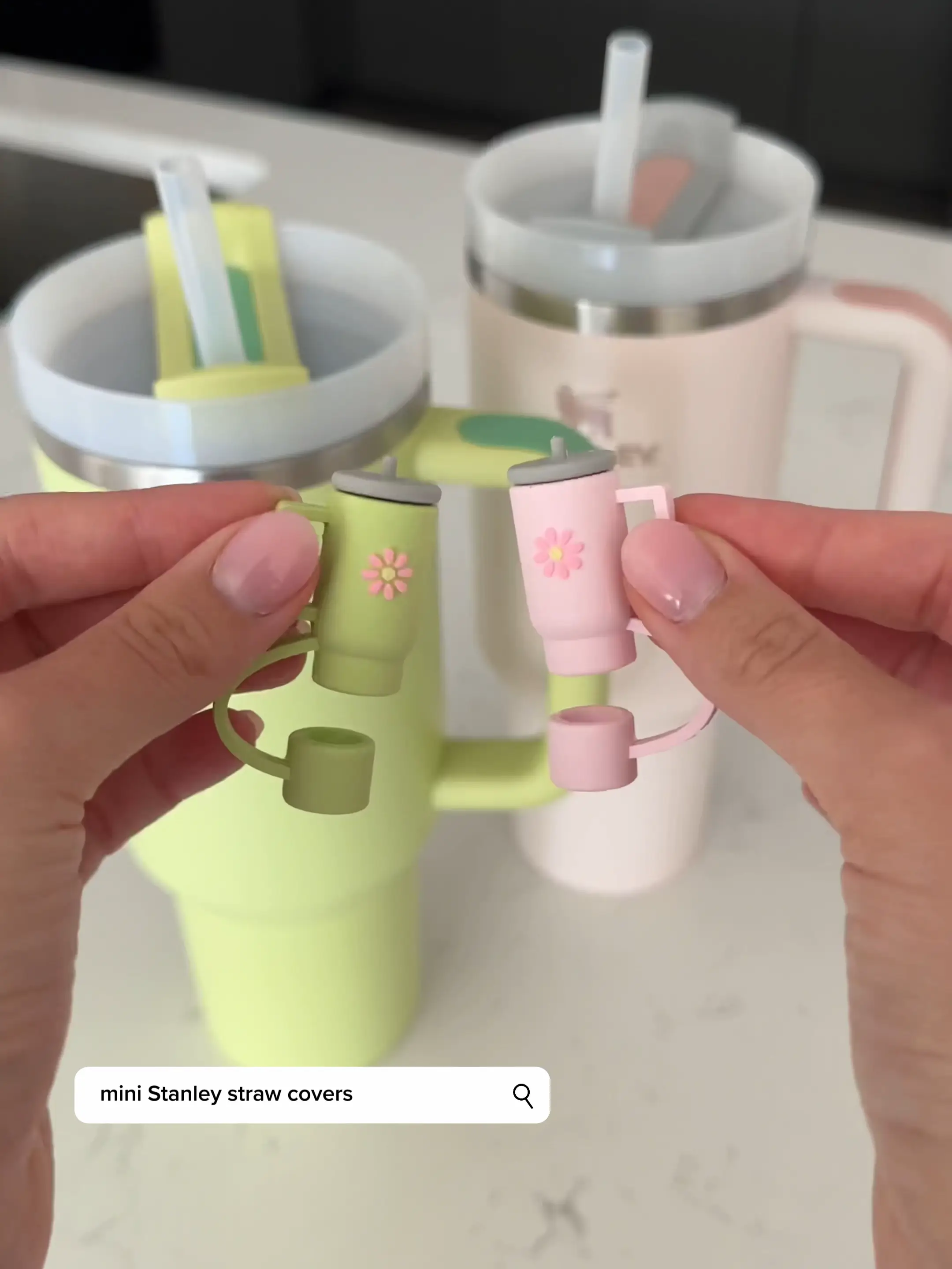 mini Stanley tumbler straw covers, Video published by sweetandtidy