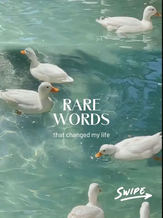  A book cover with a green water background and a flock of ducks.