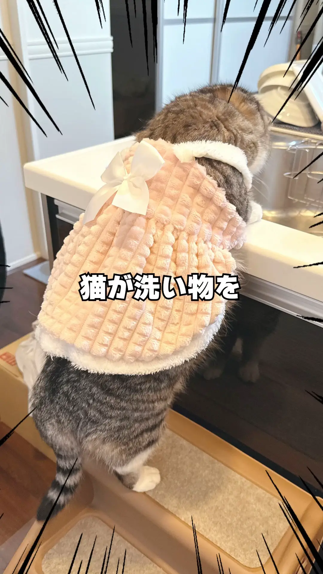 ハンドメイド 手乗りヤドカリさん あみぐるみ （湖北の風景25 竹生島 