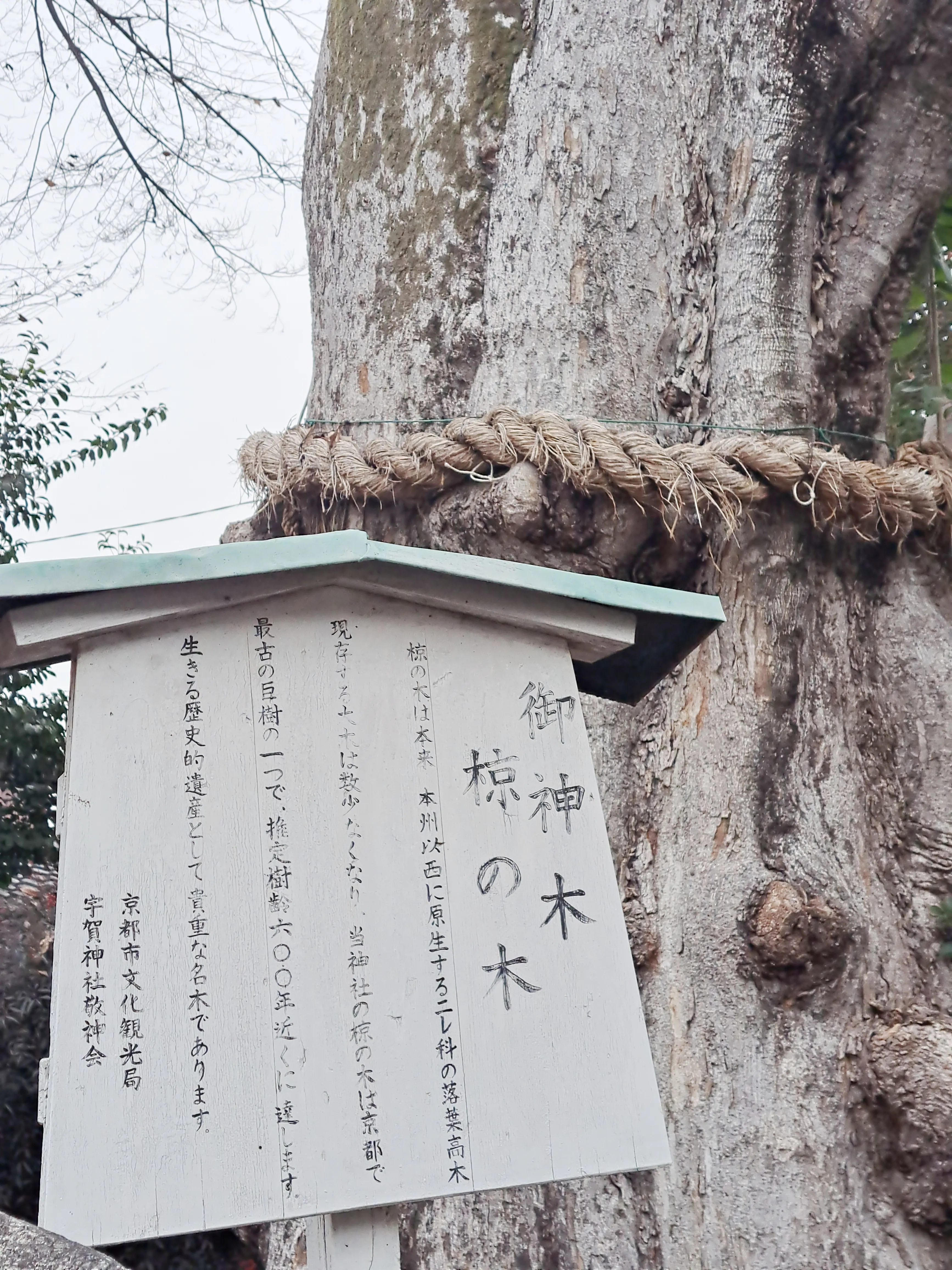 京都市南区 宇賀神社 | さとしが投稿したフォトブック | Lemon8