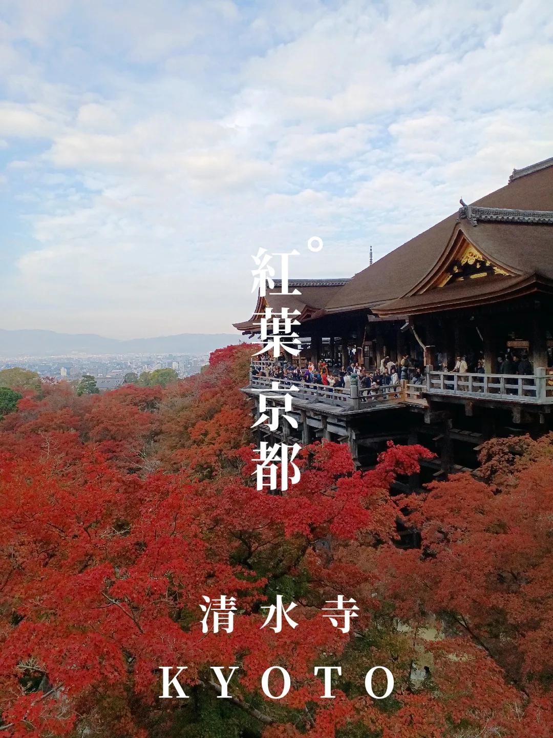 【京都ぶらり】2023京都紅葉 世界遺産清水寺の紅葉の画像 (0枚目)