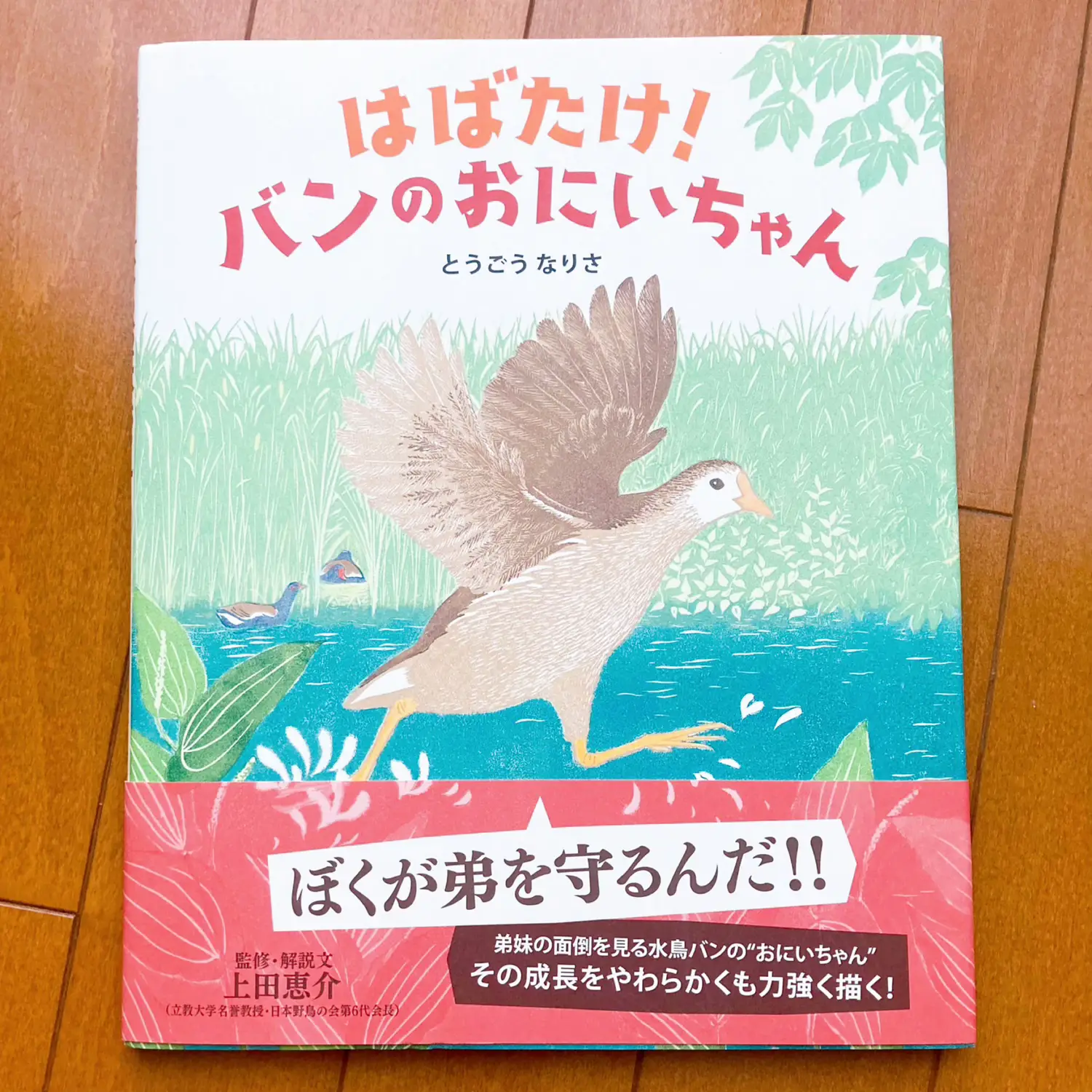 楽天スーパーセール/息子がハマったおすすめ絵本📕 | yunaコスメが投稿したフォトブック | Lemon8