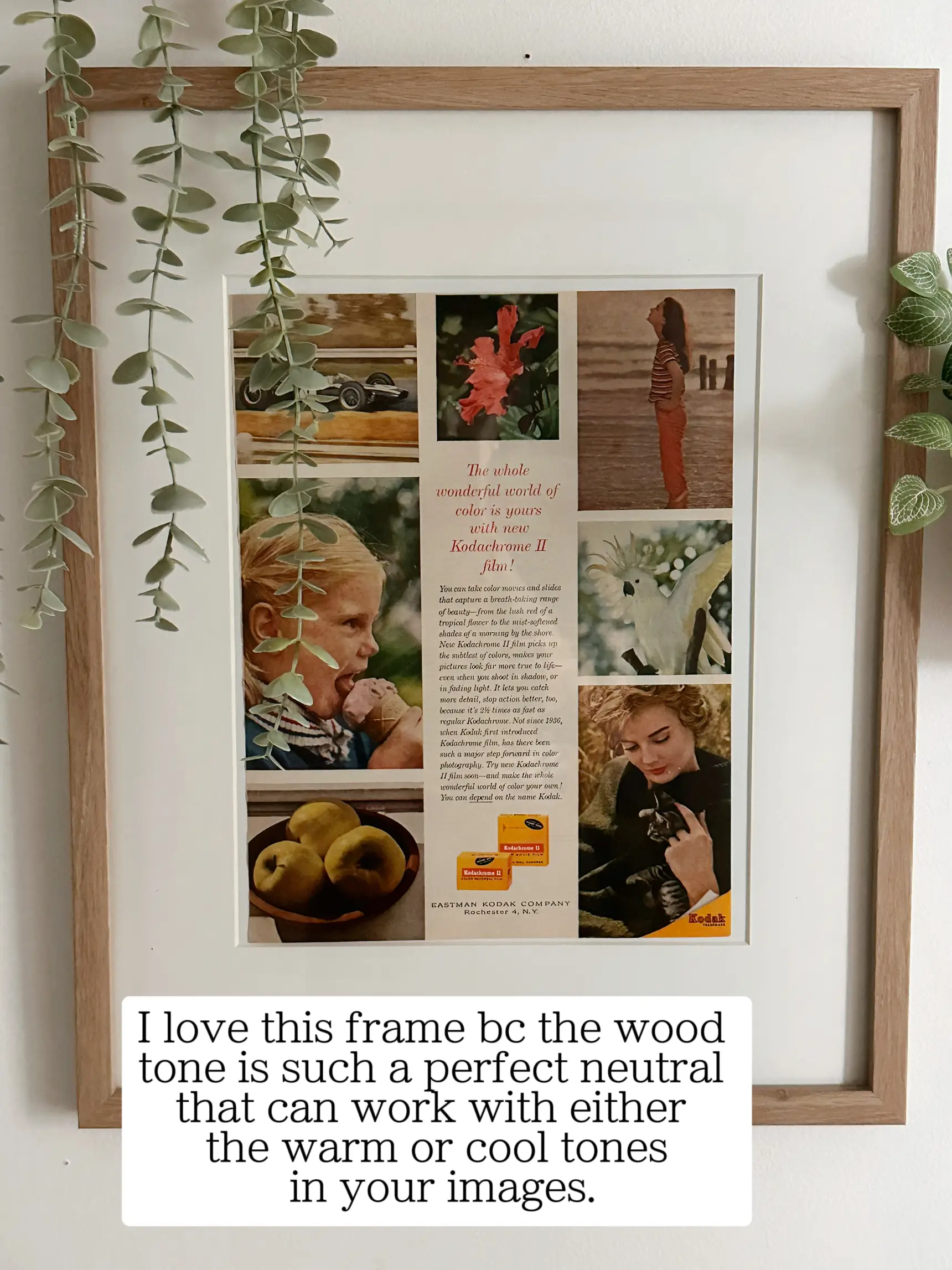 Photo Frame Ideas: Unique Things to Frame for Business