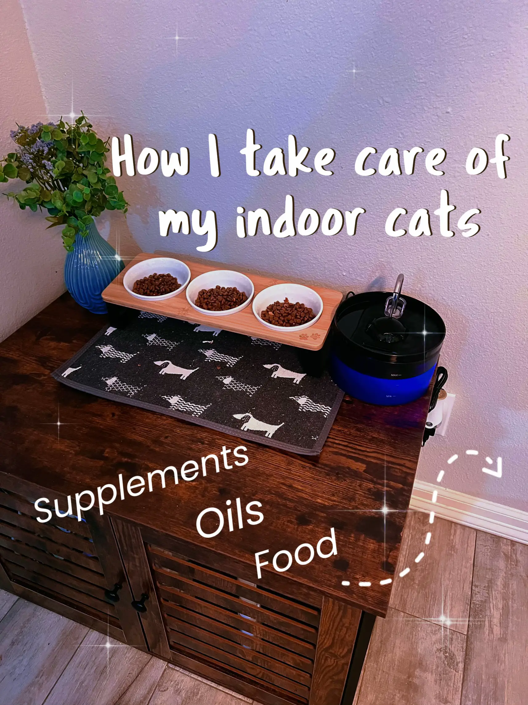 Indoor cat hotsell feeding station