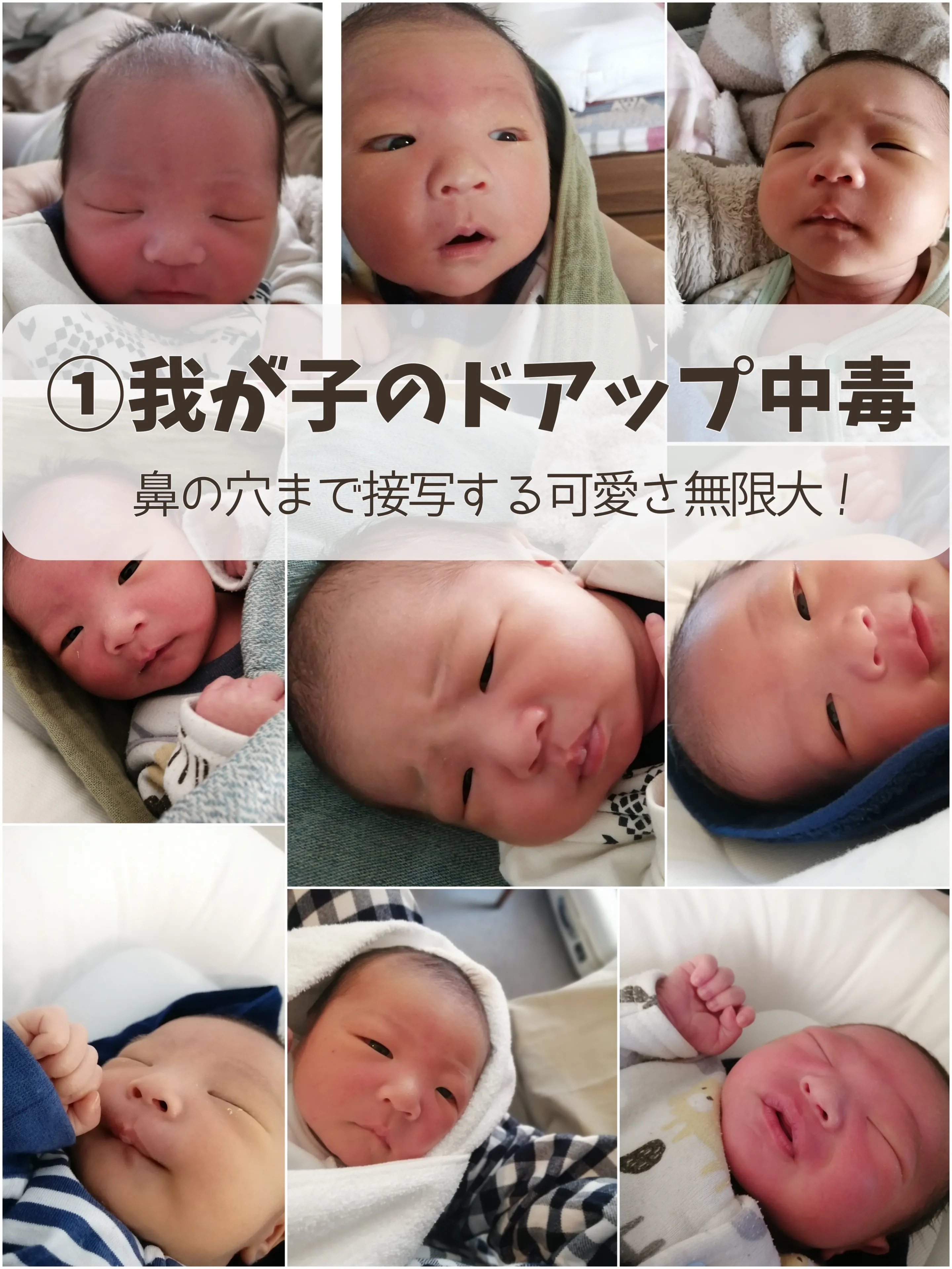 個人撮影　実母　知恵 