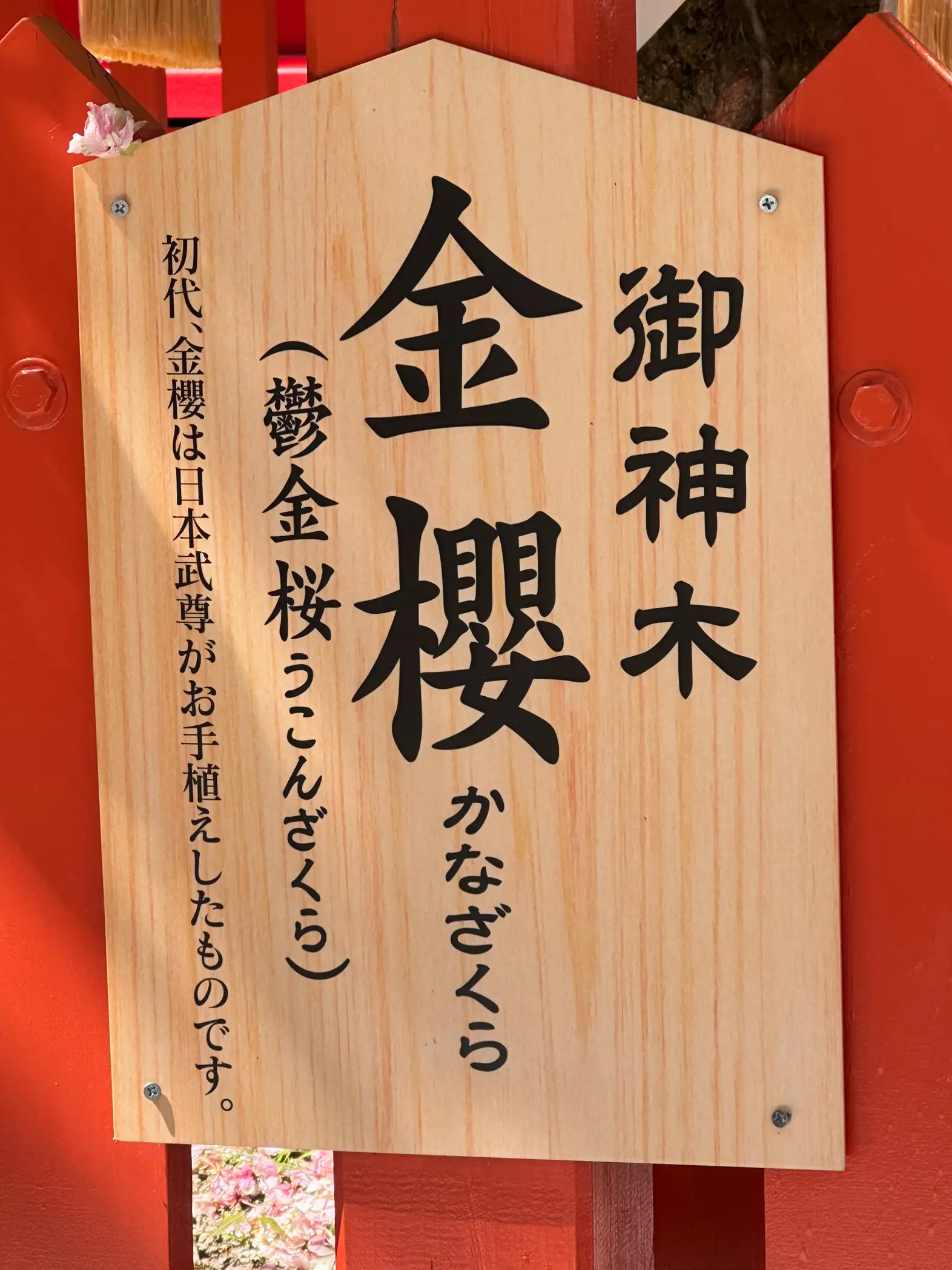 金櫻神社(山梨県甲府市)にまたまた行ってきました。 2回目！ | パワースポットのんびり1人旅が投稿したフォトブック | Lemon8