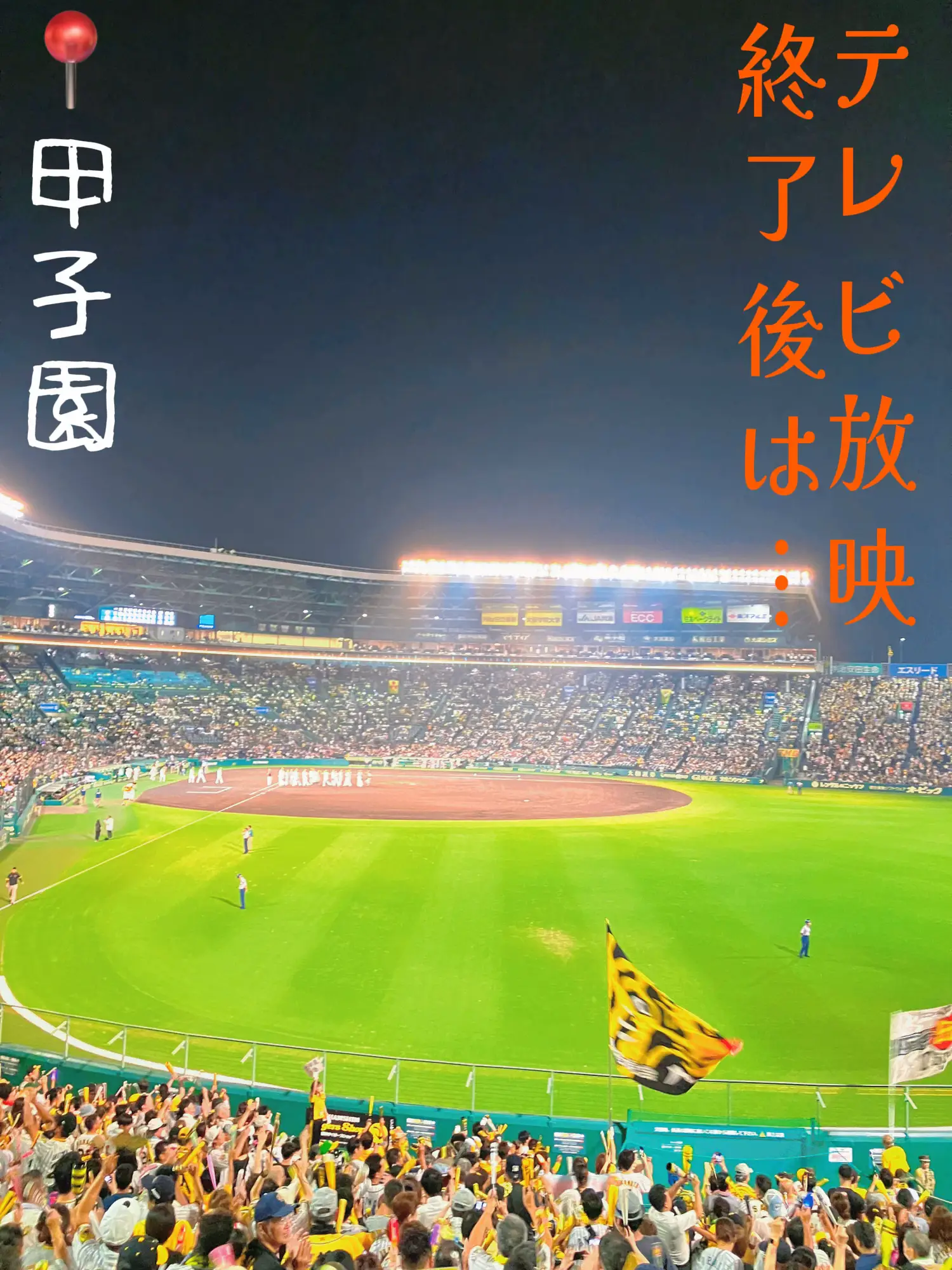 甲子園】8月30日 阪神タイガース対広島東洋カープ 三ツ矢サイダーボックス - 興行チケット