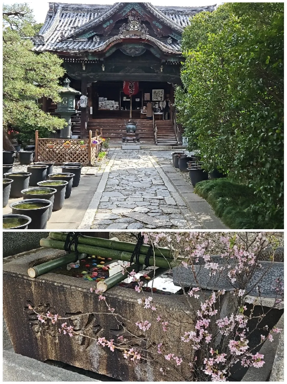 革堂 行願寺【京都】西国三十三所 十九番 | achan3758が投稿したフォトブック | Lemon8