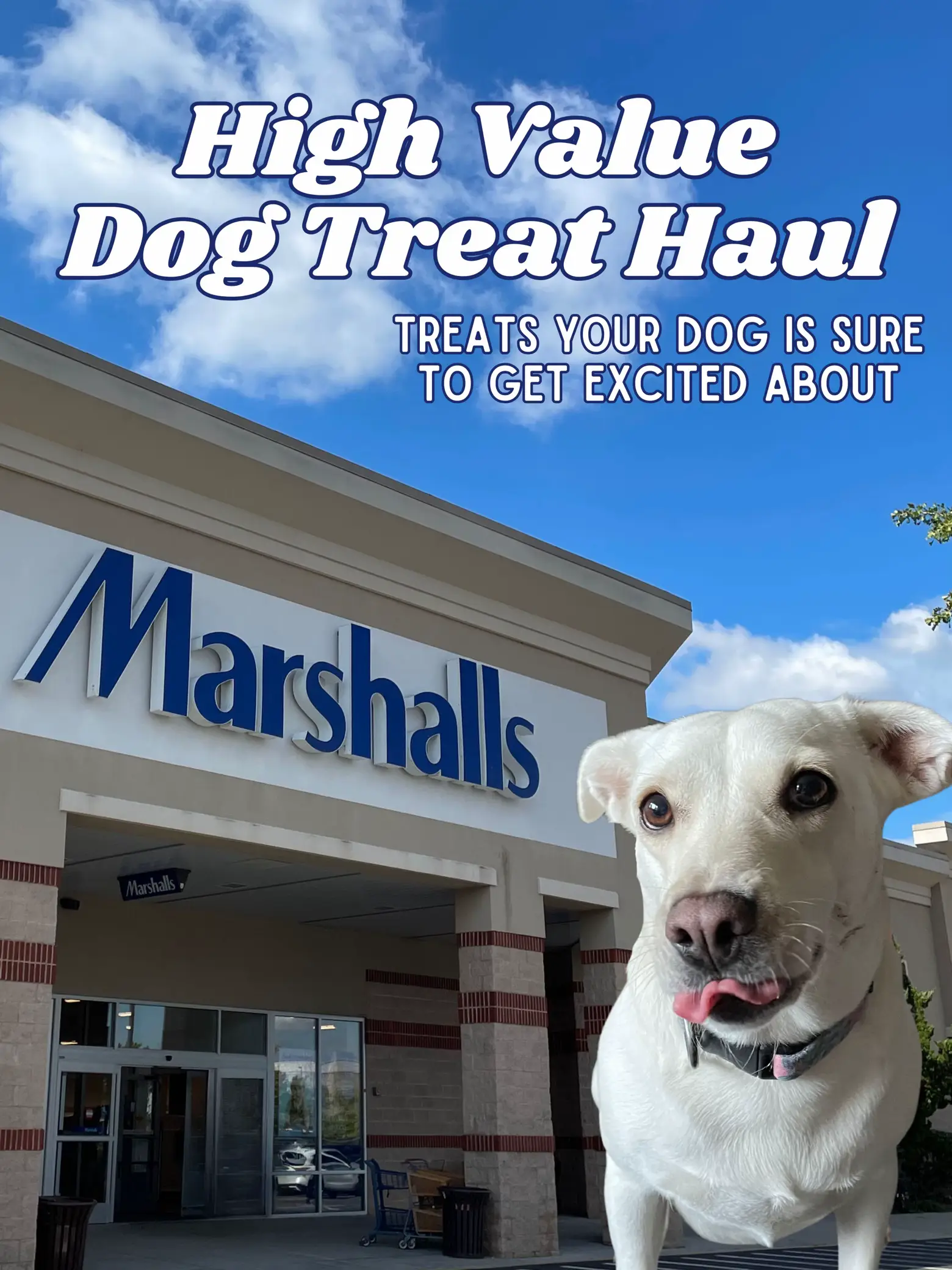 Marshalls dog treats best sale