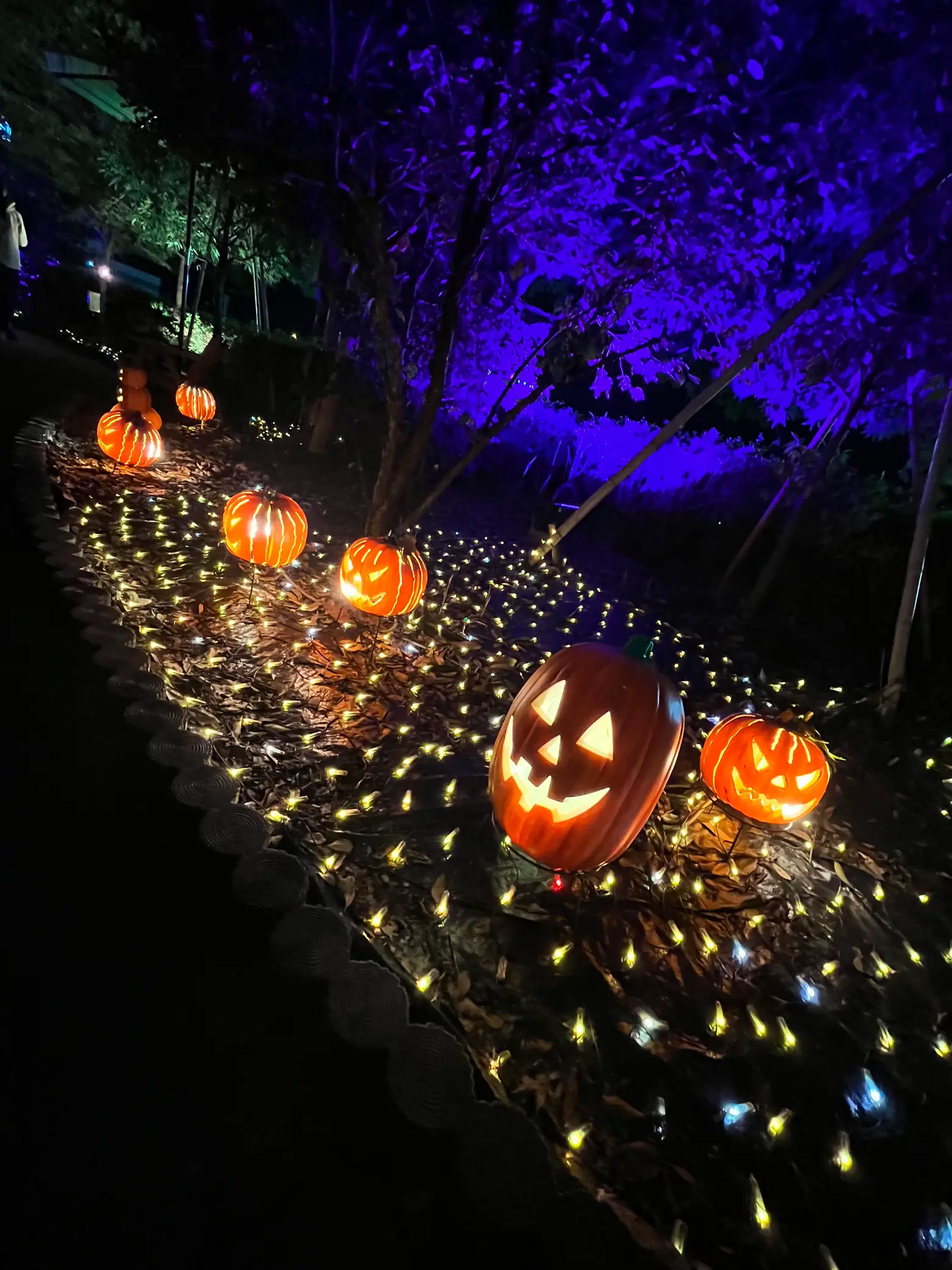 ハロウィン♡ミッキー のイルミネーションボトル パープル - ライト