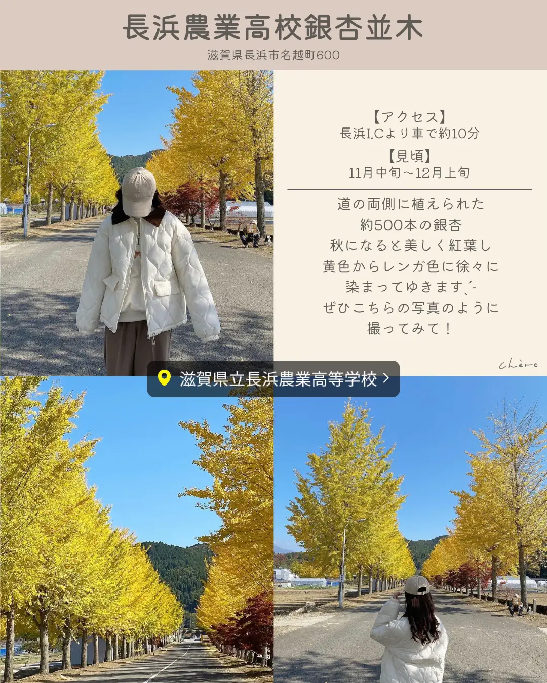 Enjoy the beauty of autumn - 【 Kansai 】 Autumn nature spot vol.2