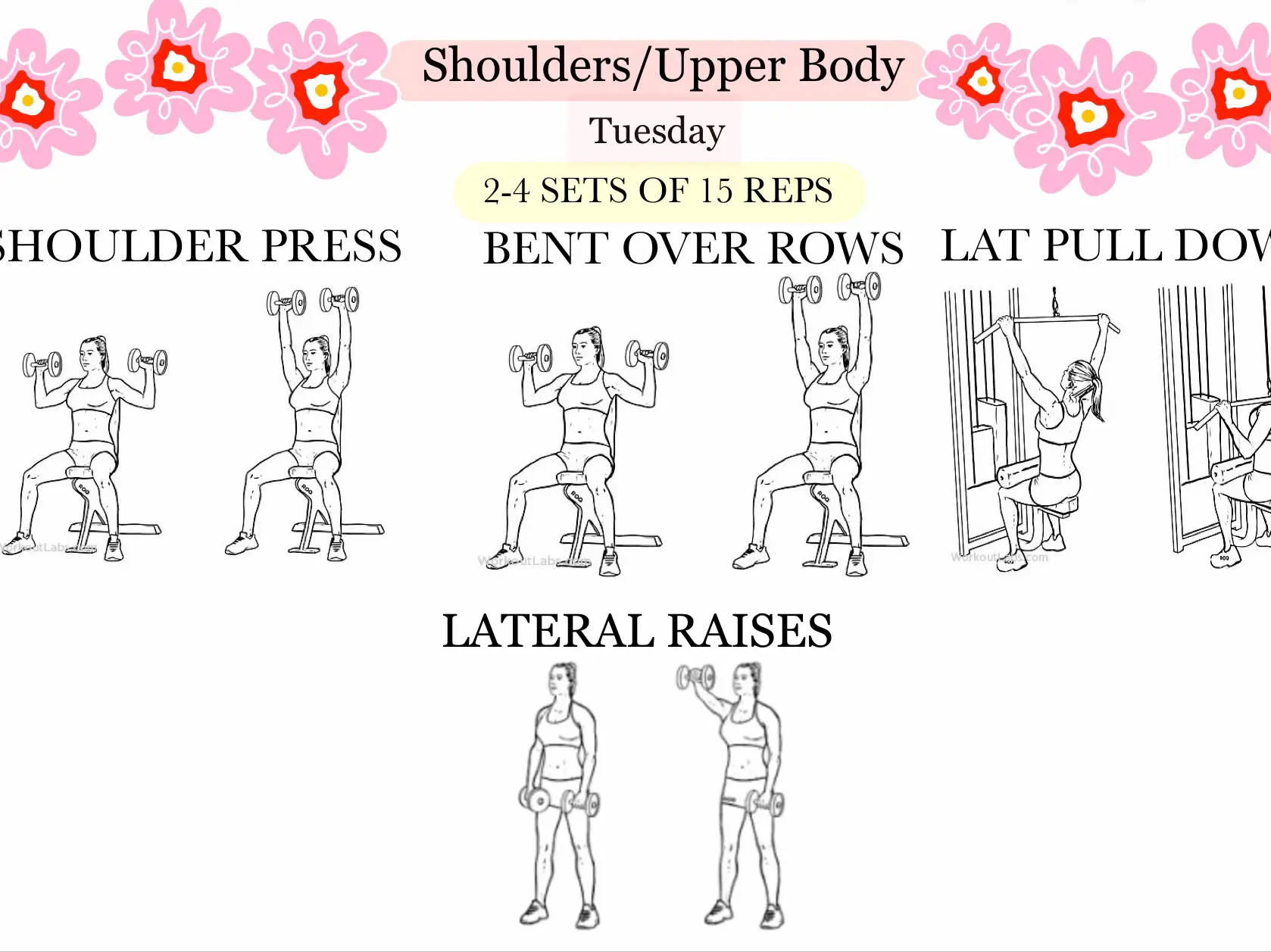 To stop my shoulders rounding because of too much bench press and pressups,  what is the best back exercise to pull my shoulders back in to line? - Quora