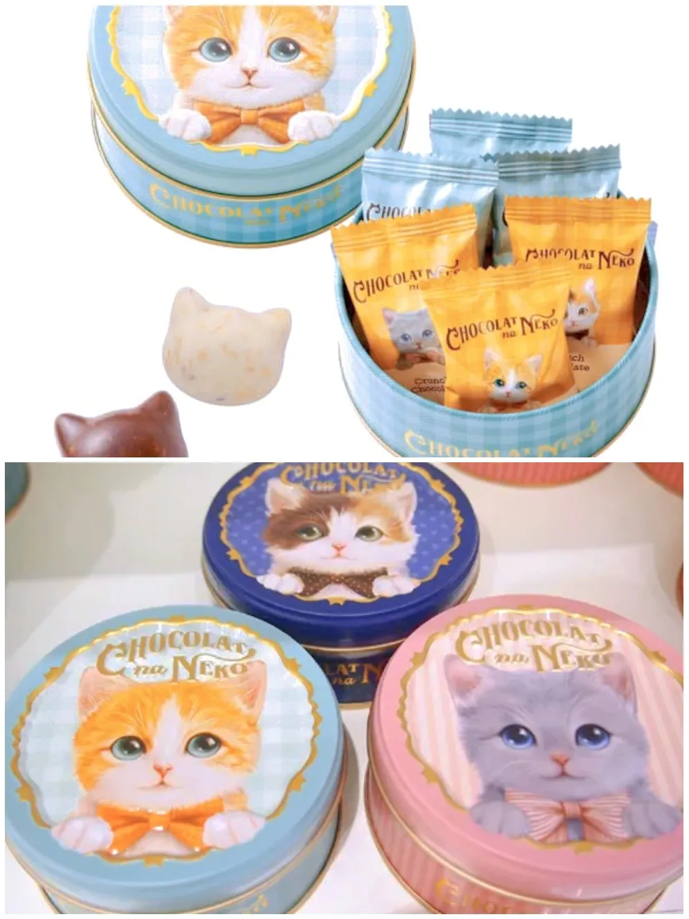 小さな猫ちゃんpupuBEAR