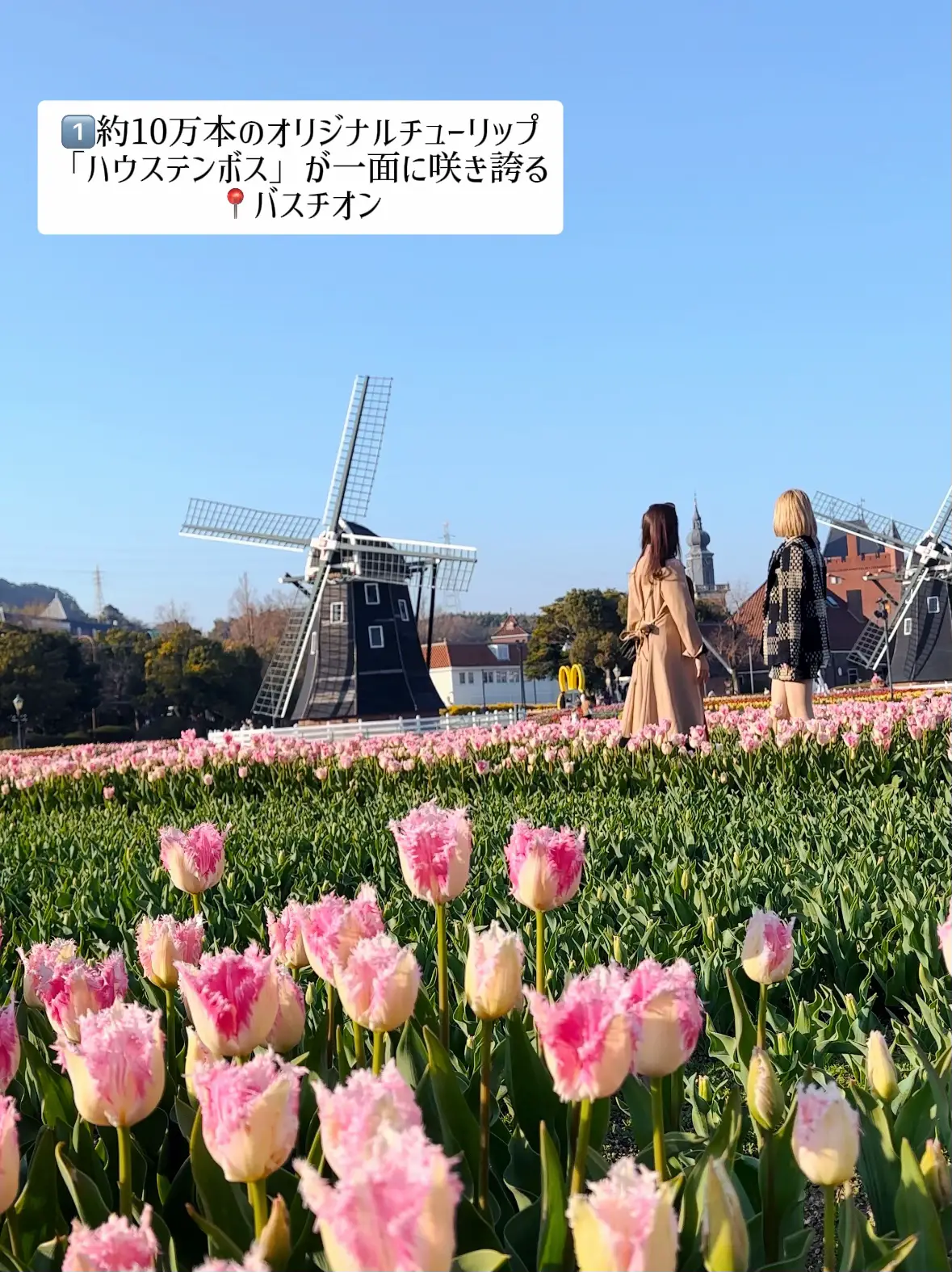 📍長崎/ハウステンボス】まるでヨーロッパ！100万本のチューリップが咲き誇る憧れの春💐 | akane🌼映えおでかけが投稿したフォトブック |  Lemon8