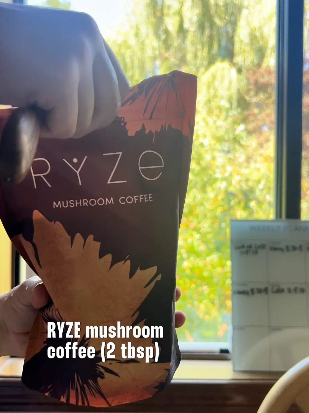 18+ Ryze Mushroom Coffee Español