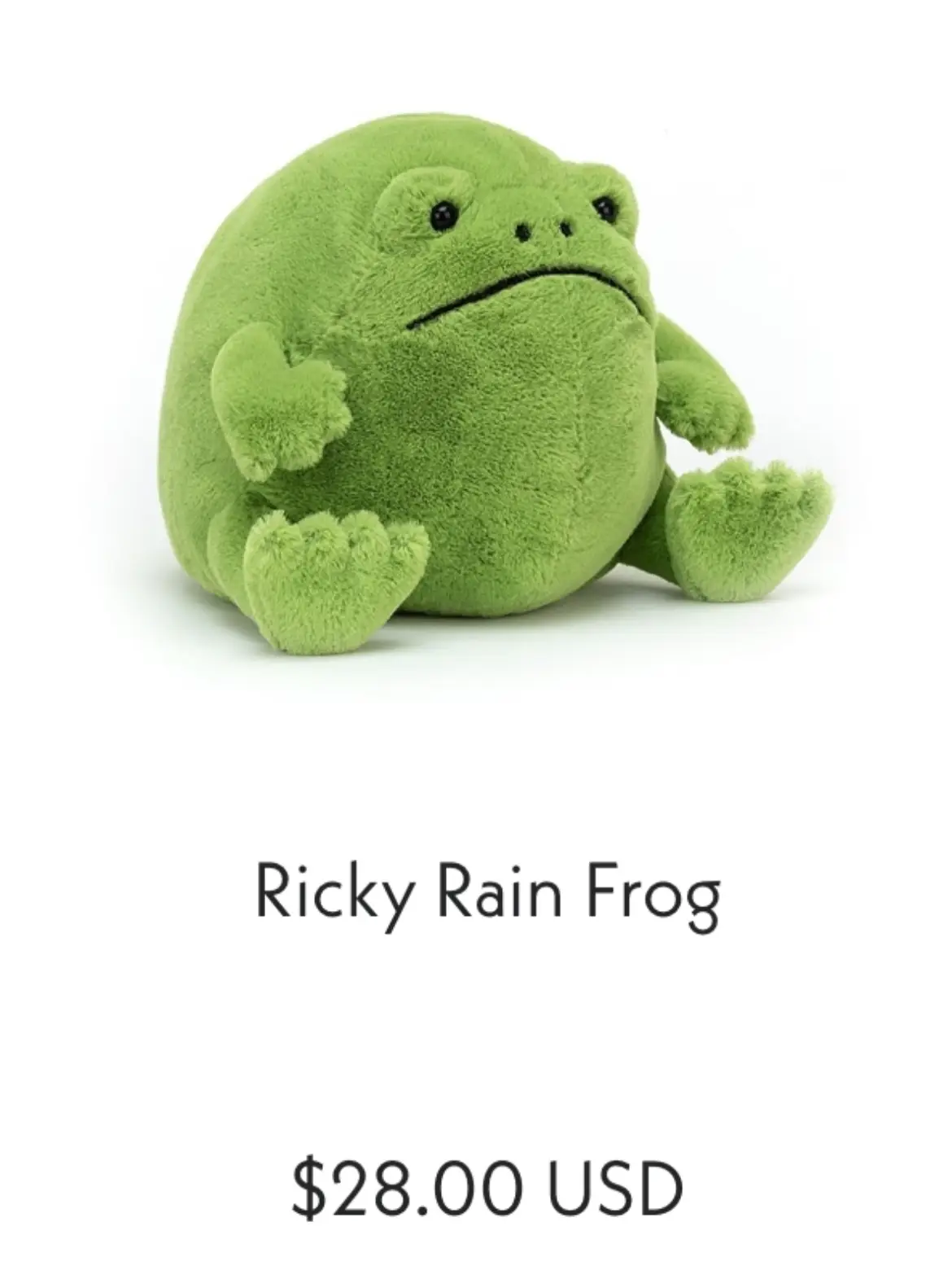 medium ricky rain frog jellycat｜TikTok Search