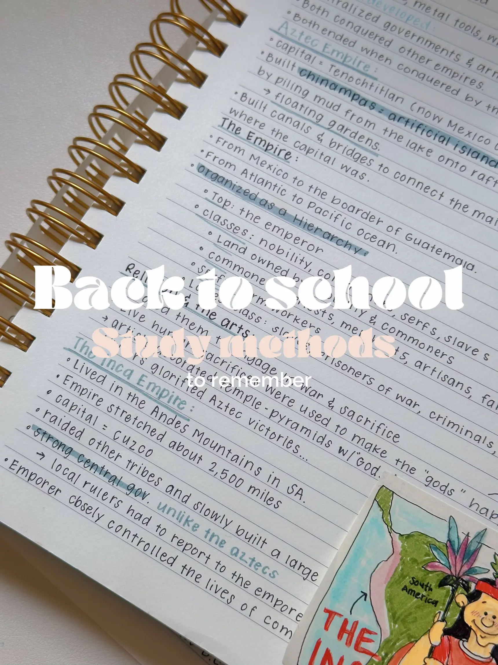 How to Color Code Your Study Notes | 2024 real user experience on Lemon8