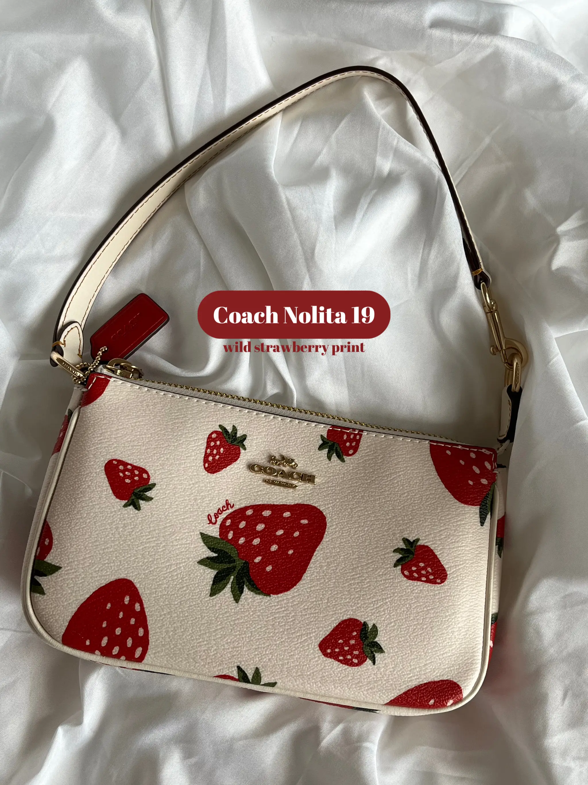 Coach Strawberry Print Nolita 15 Mini Purse