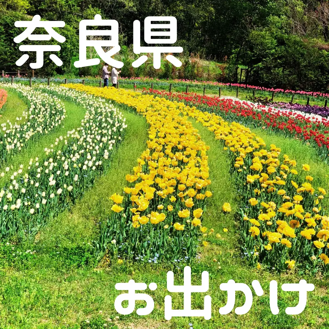 奈良県 お花満開🌼子供も遊べる広い公園   | みまる○関西お出かけ/カフェが投稿したフォトブック | Lemon8