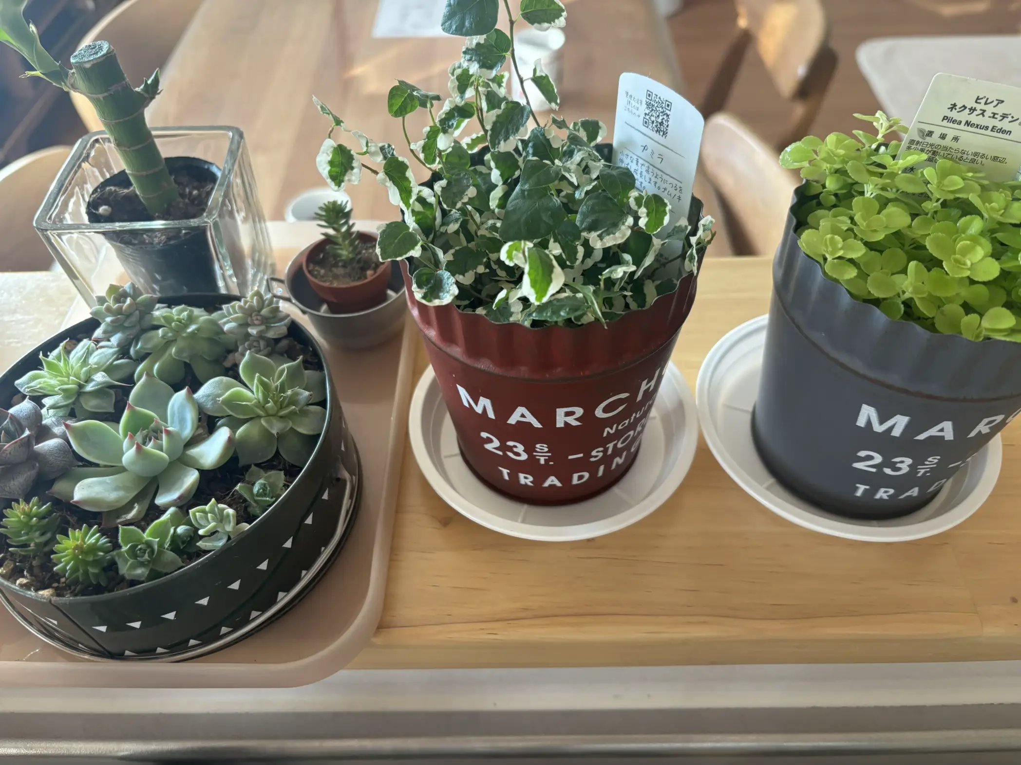 アイアン雑貨セット♪アンティークリメイク鉢リメ缶リメ鉢リメイク缶多肉