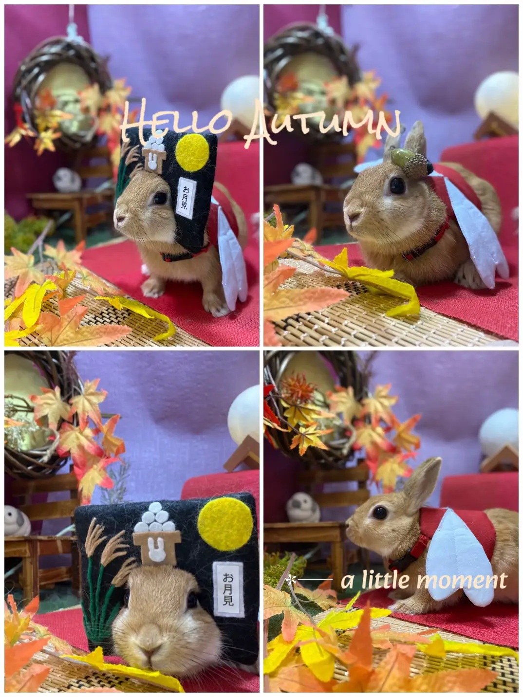 ハンドメイド お月見 十五夜 編みぐるみ 置物 イベント オブジェ