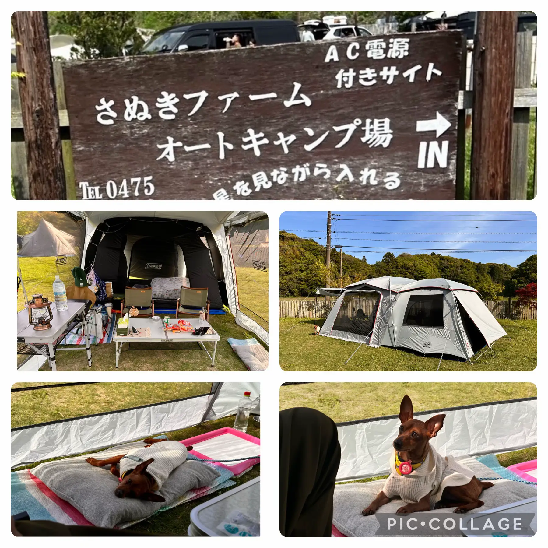 キャンプ🏕️ | yumi-.-nsが投稿したフォトブック | Lemon8