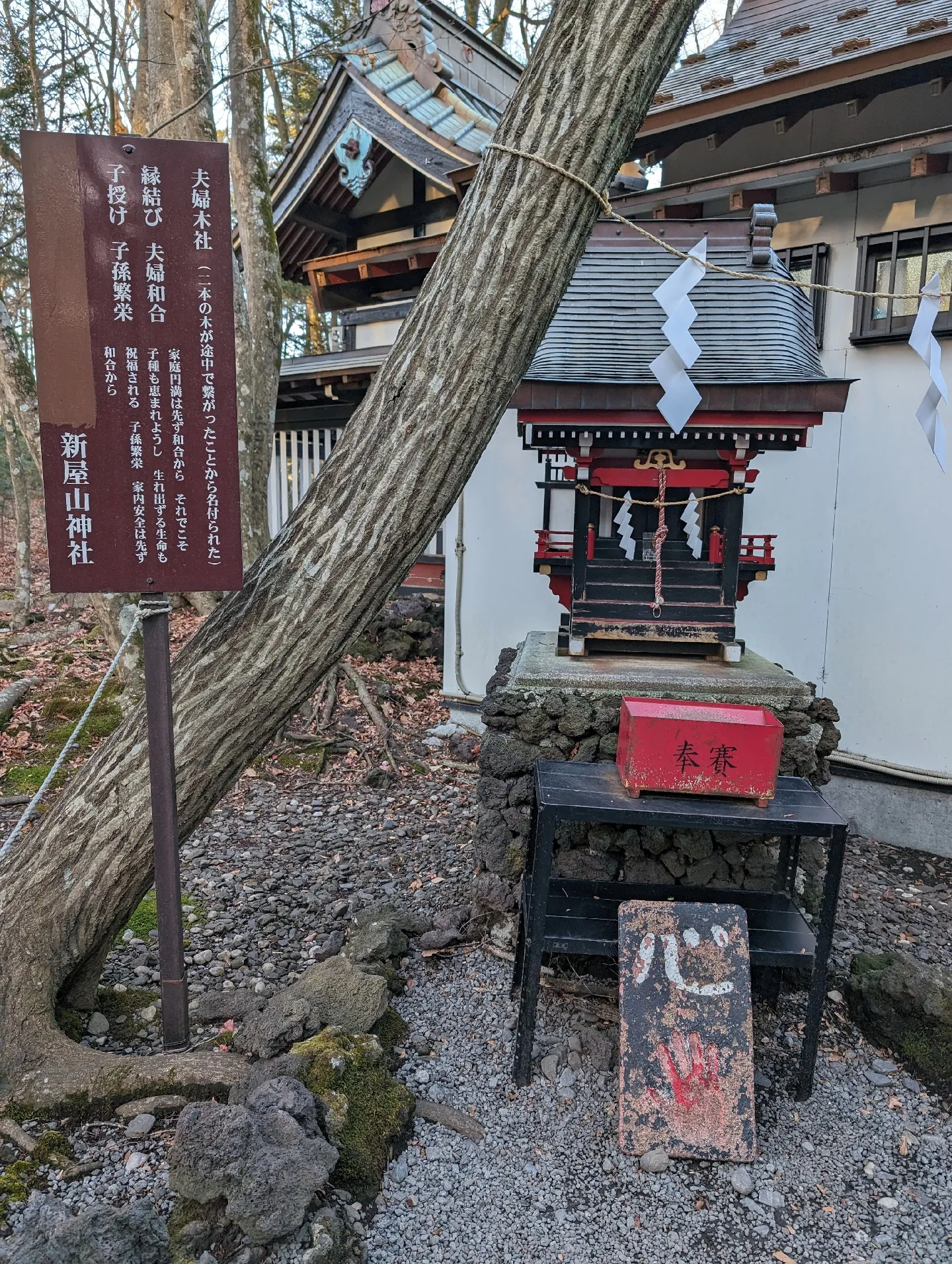 最強金運神社⛩️💞 | まいまいが投稿したフォトブック | Lemon8