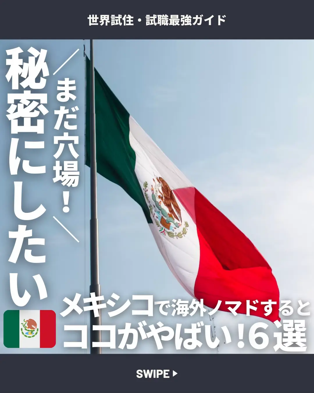 生きたメキシコ - Lemon8検索