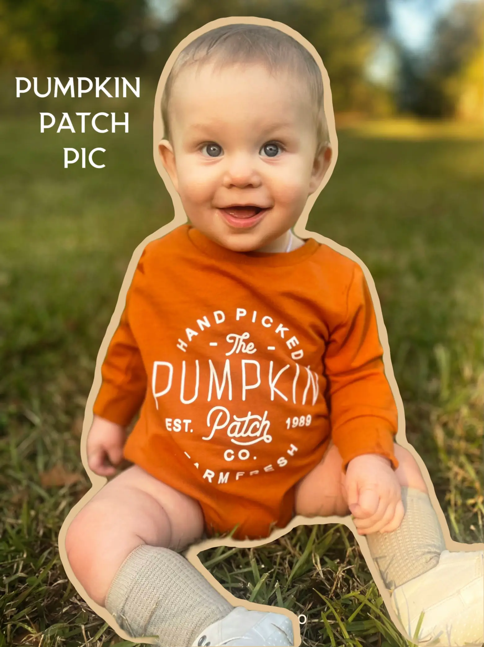 adorable-fall-pictures-sierra-beall-lemon8