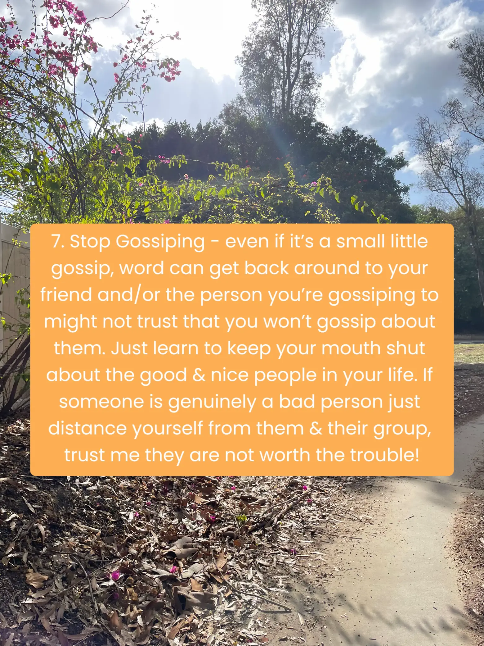 Attracting high quality friends Gallery posted by Tori Lemon8