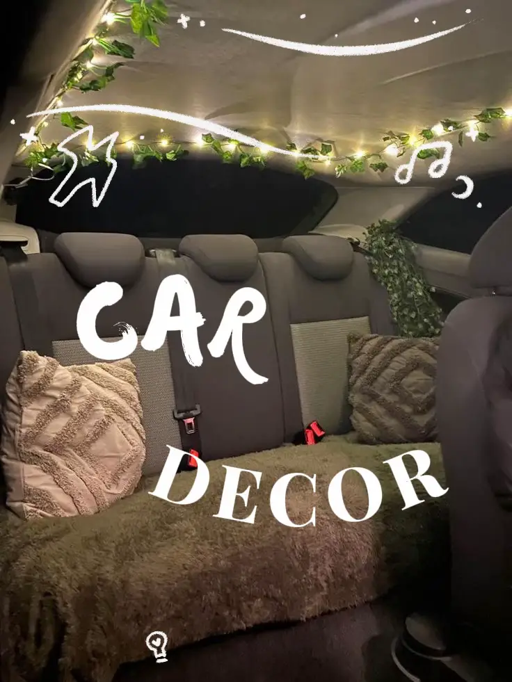 car interior accessories - Lemon8 Search