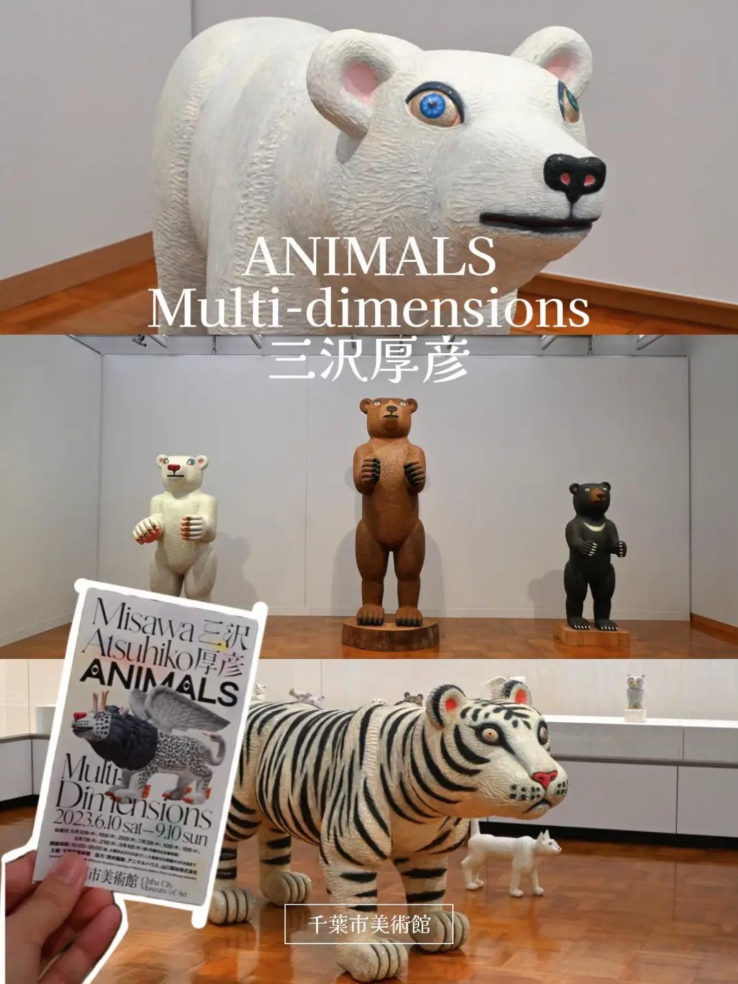 動物好き必見のアート展🐻 ANIMALS Multi-dimensions三沢厚彦 | Noboru|アート巡り🎨が投稿したフォトブック |  Lemon8