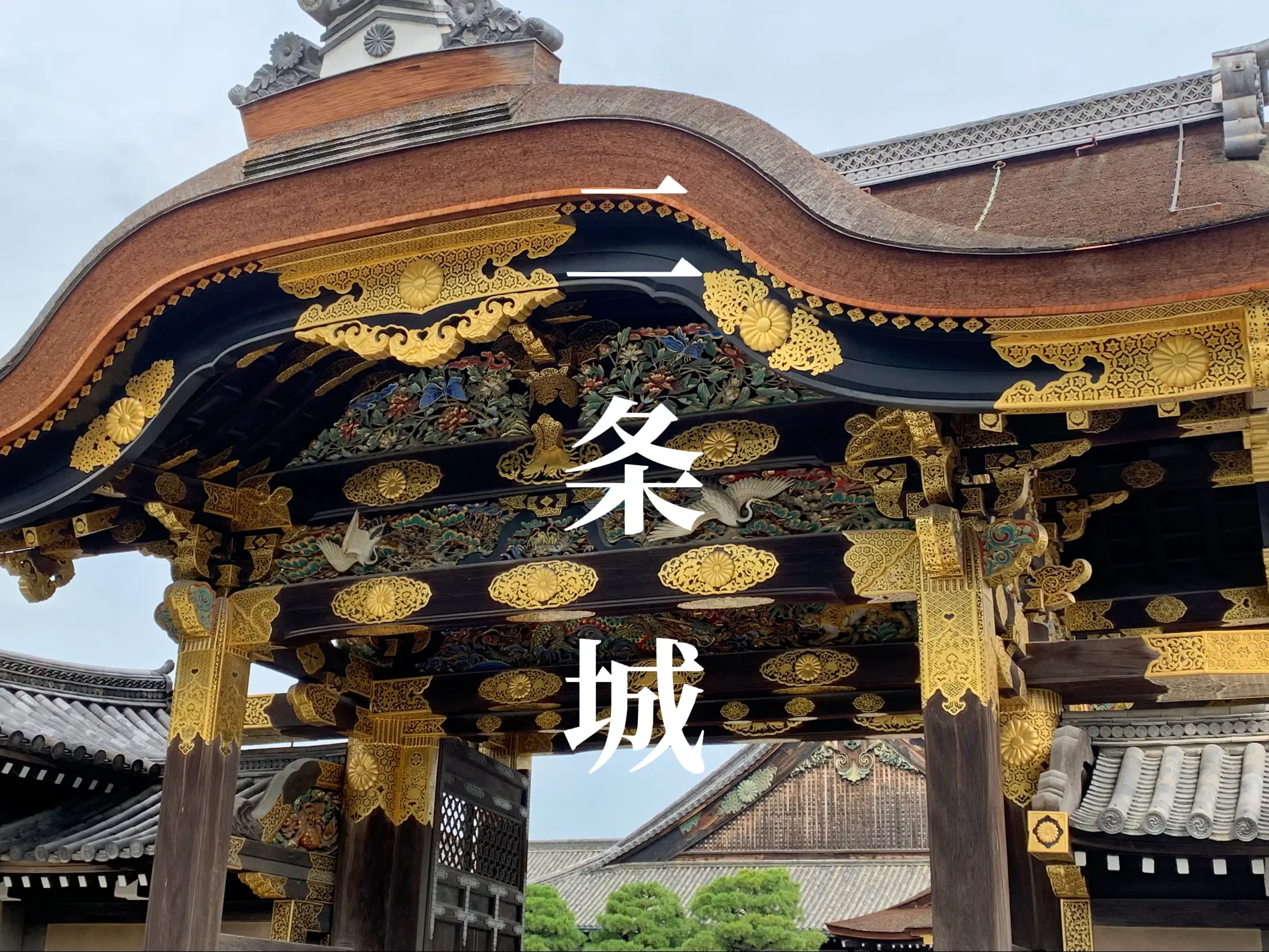 京都旅行その②晴明神社➕二条城 | yuuki0が投稿したフォトブック | Lemon8