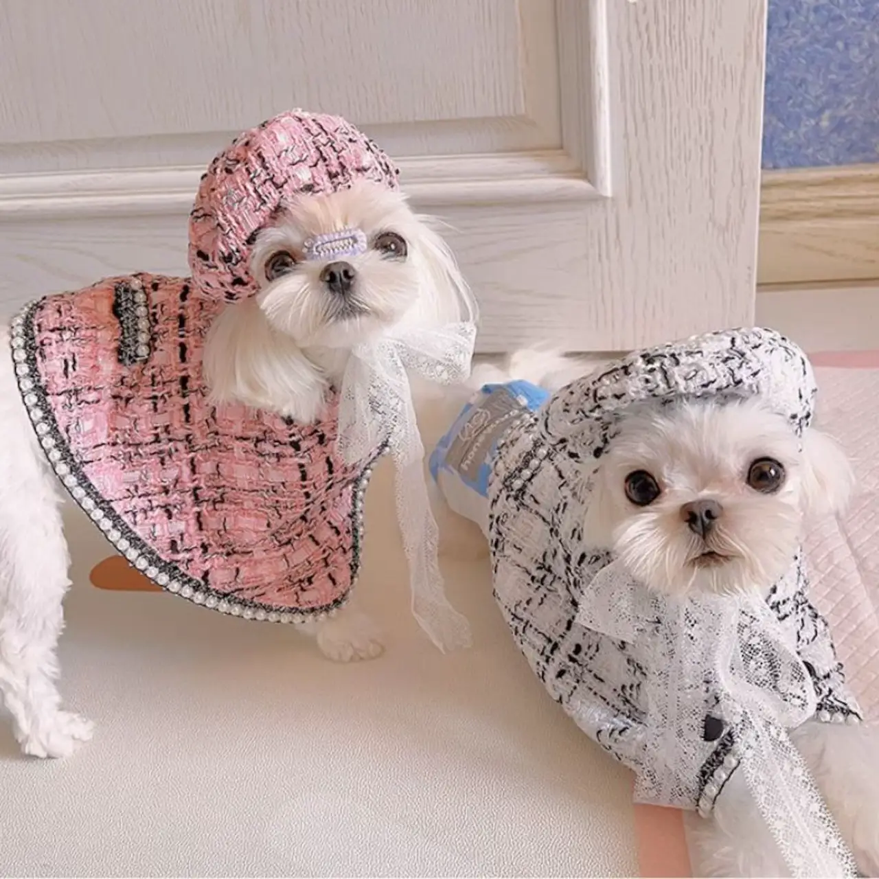 あーちゃん様♡犬服ハンドメイド