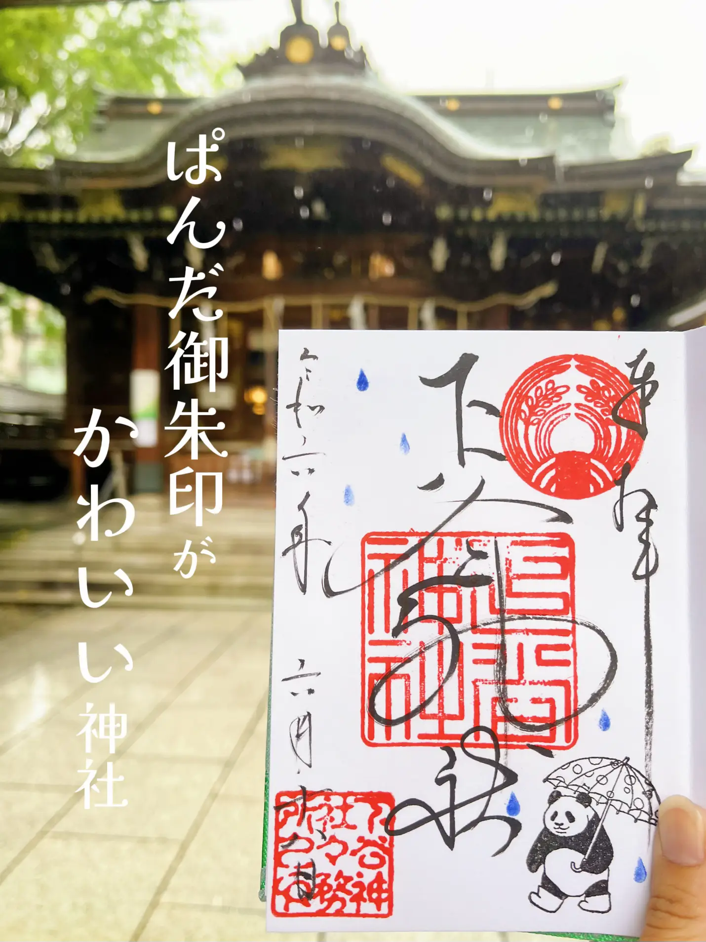 東京】パンダの御朱印がかわいい神社ෆ ̖́- | naomi✿愛犬×おでかけ記録が投稿したフォトブック | Lemon8