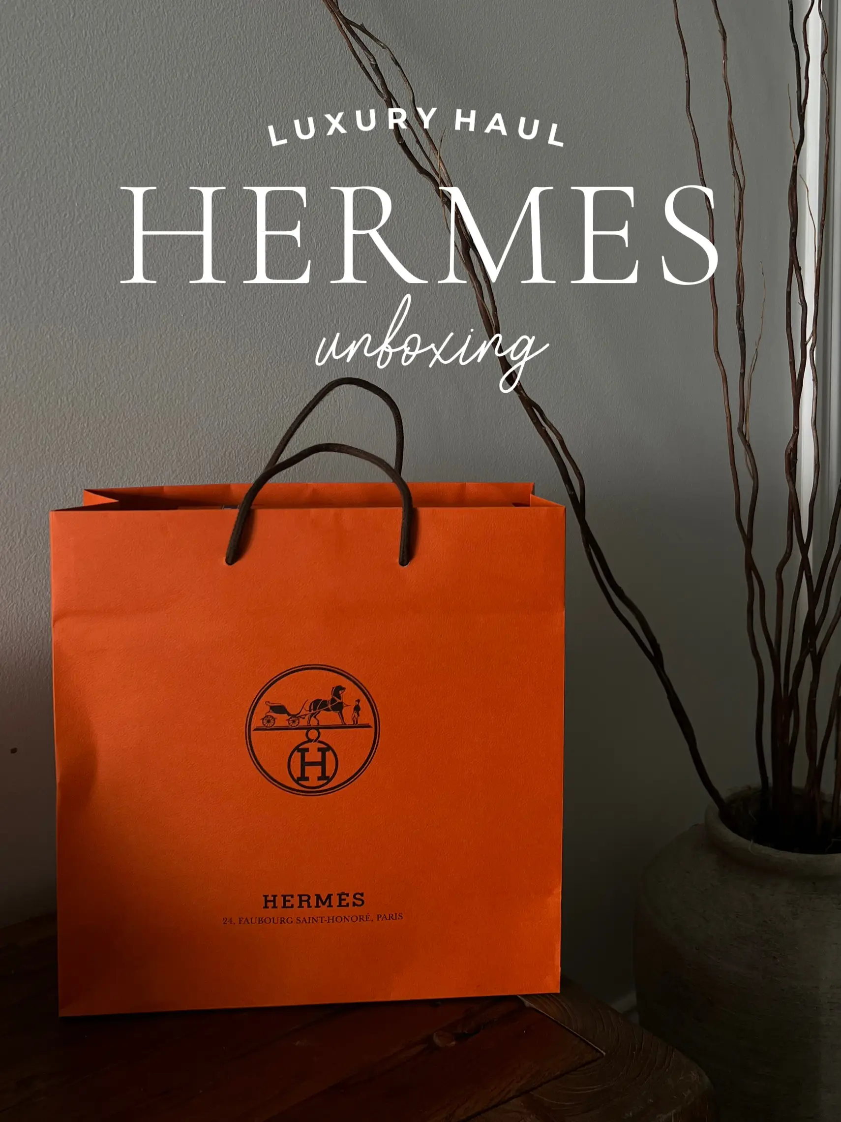Hermes Unboxing! Hermes New colors! Hermes Chai! Hermes Biscuit