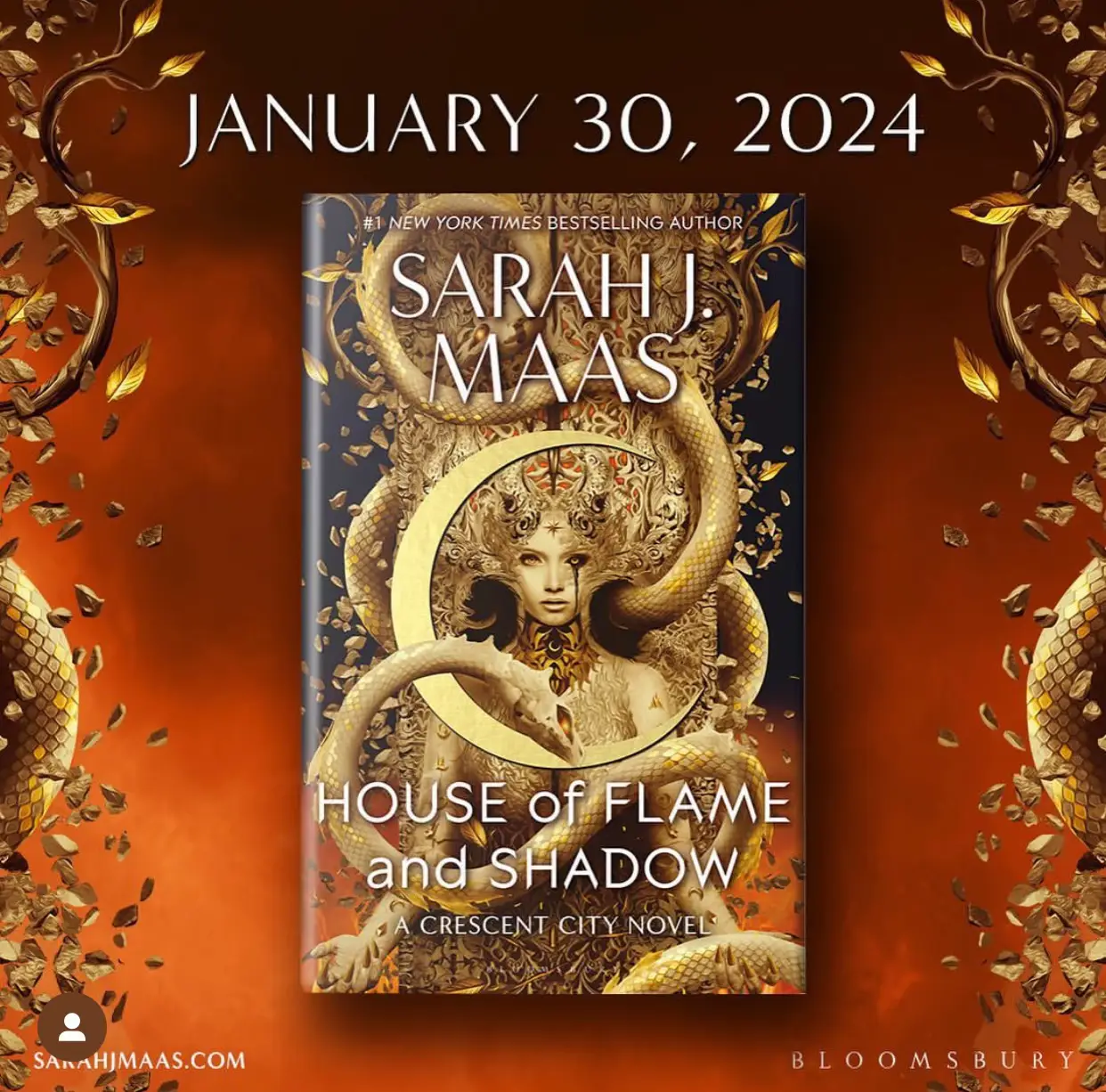 House of Flame and Shadow cover!  Gallery posted by Laceandbooks