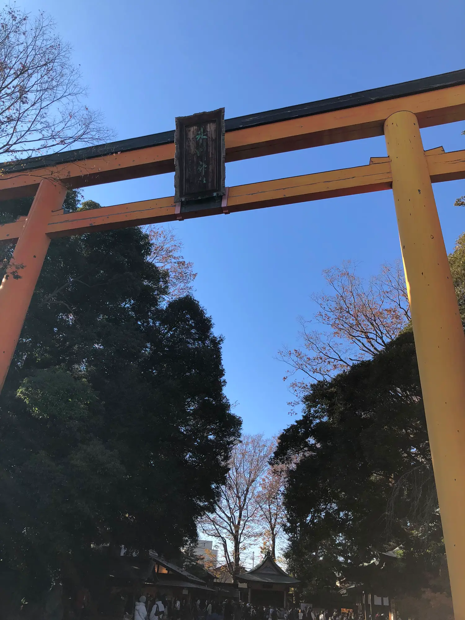 シマノ   嵐山  十六尺  本物 シマノ 嵐山 十六尺 本物